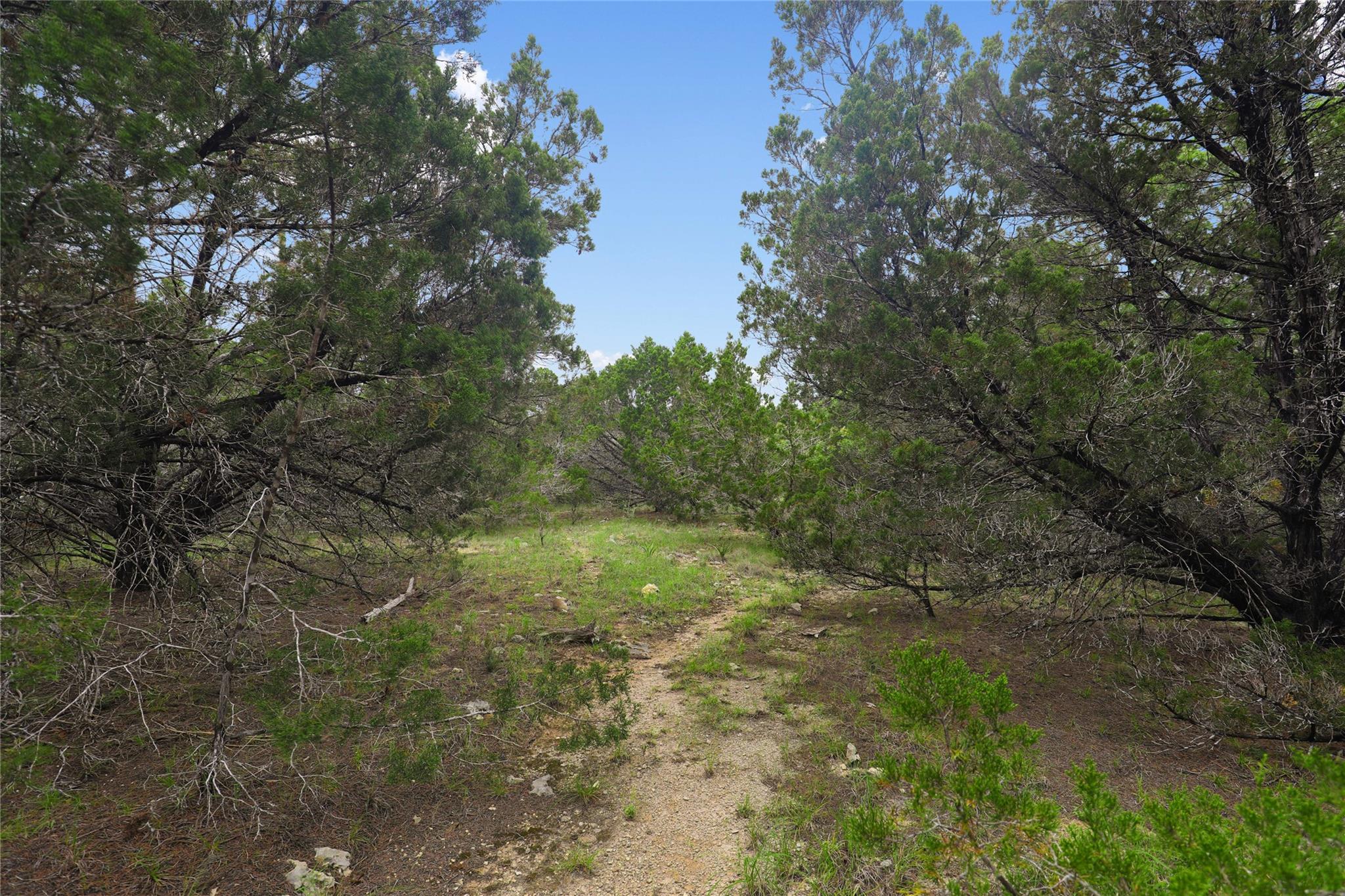 6807 Live Oak Dr Property Photo 12