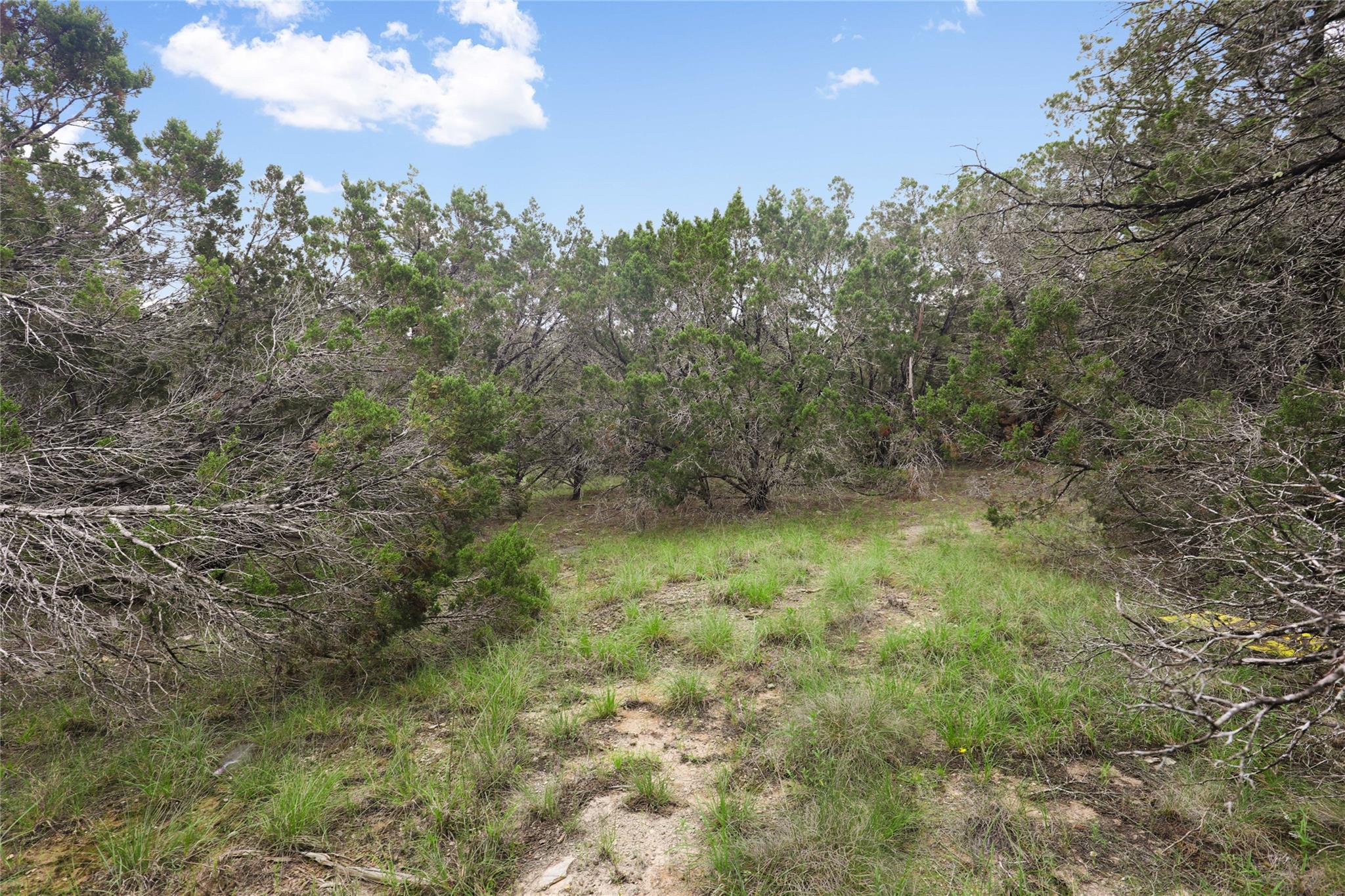 6807 Live Oak Dr Property Photo 17