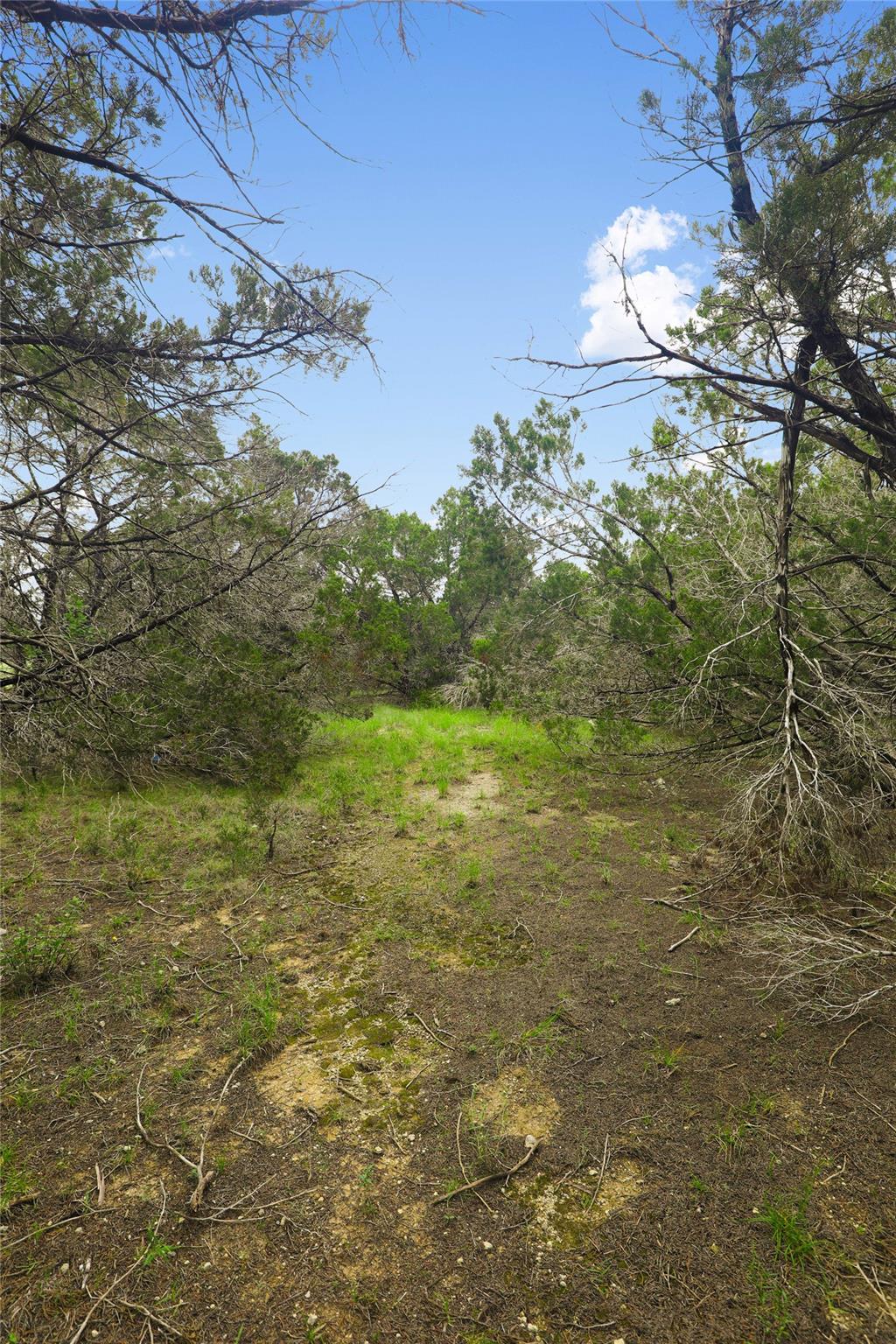 6807 Live Oak Dr Property Photo 24