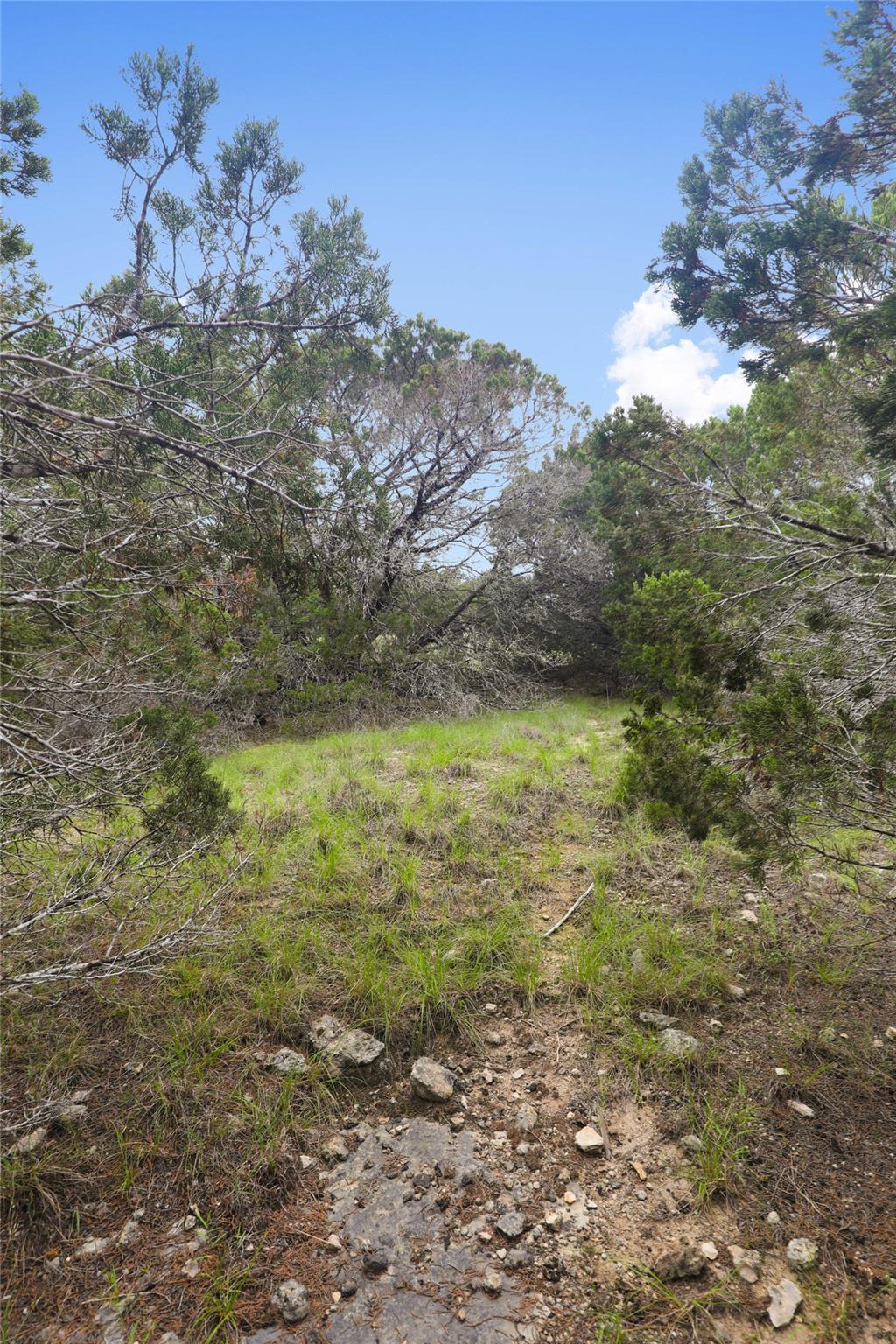 6807 Live Oak Dr Property Photo 25