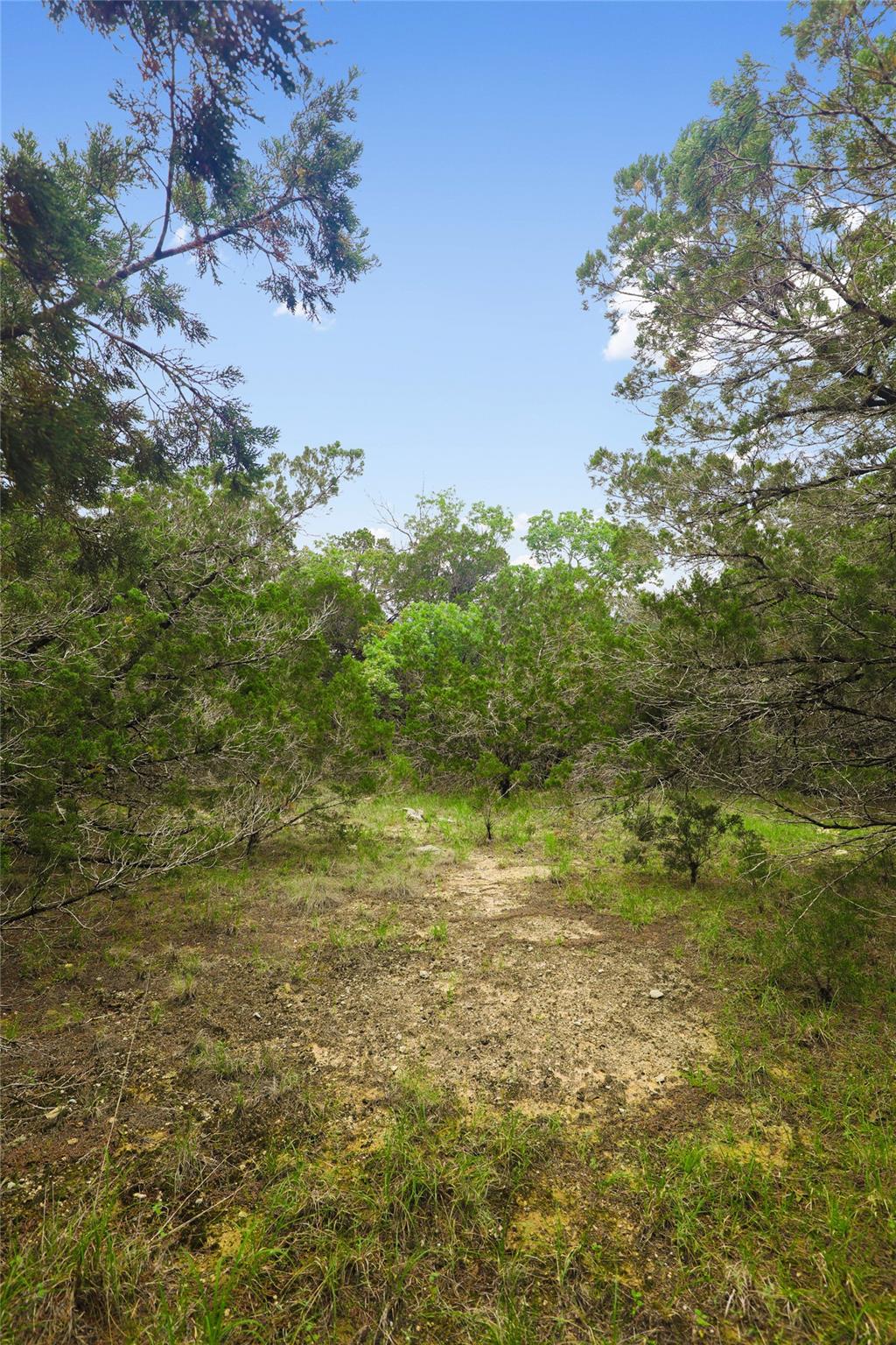6807 Live Oak Dr Property Photo 26