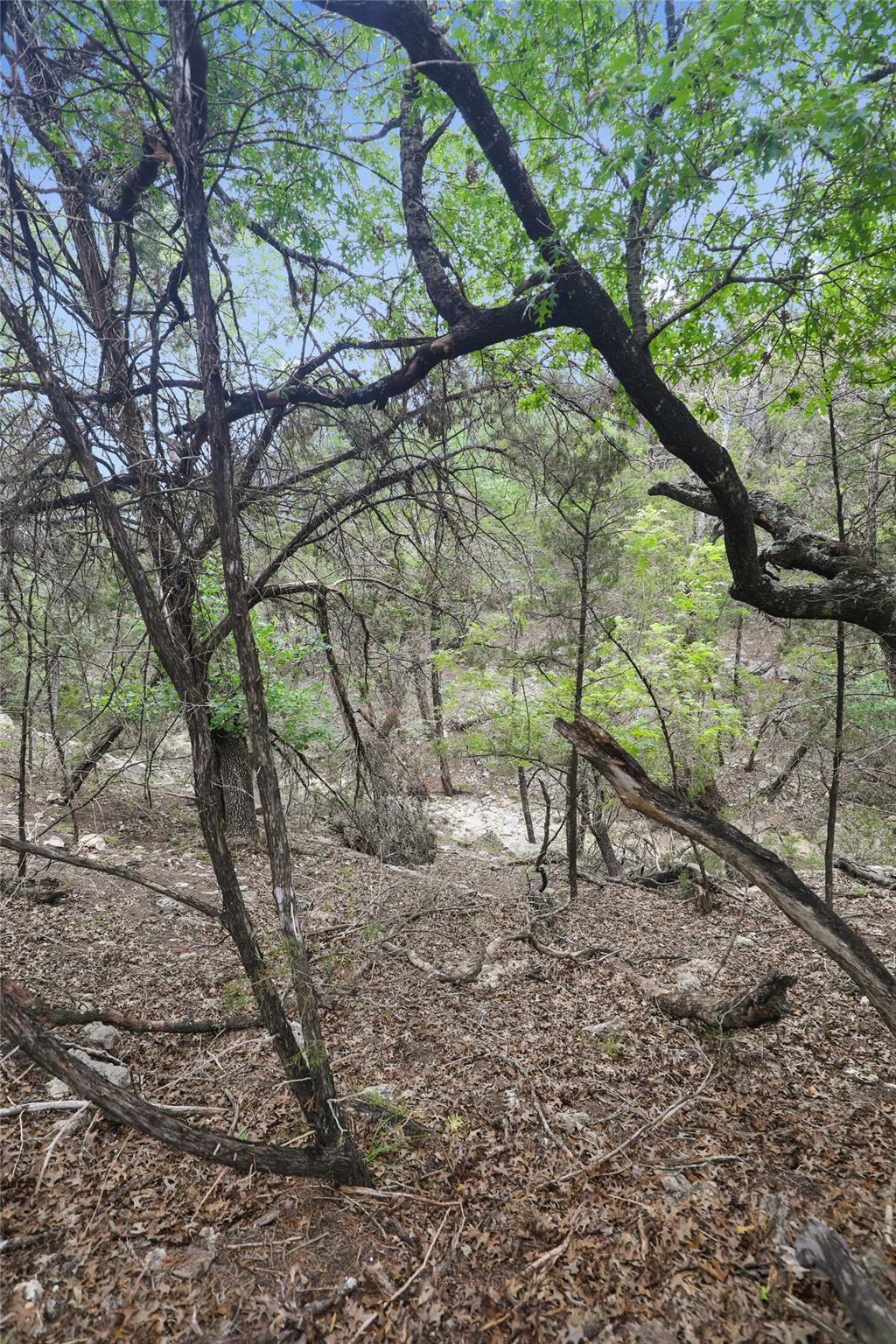 6807 Live Oak Dr Property Photo 27