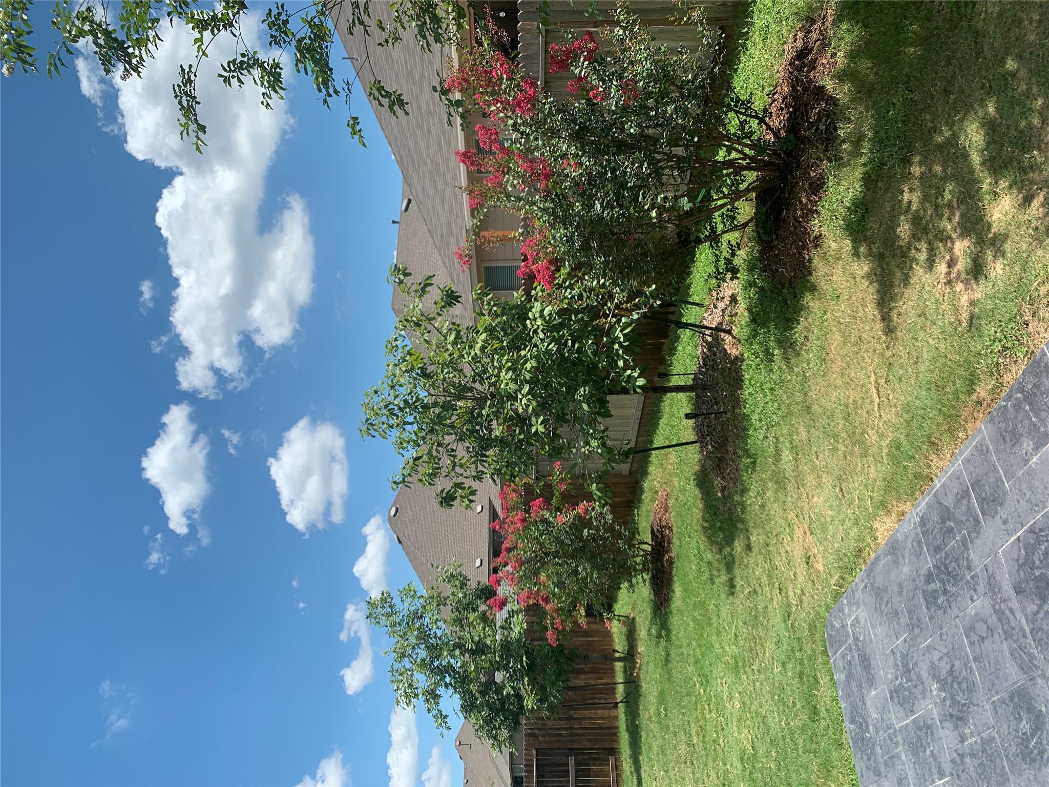 1335 Gruene Glen St Property Photo 23