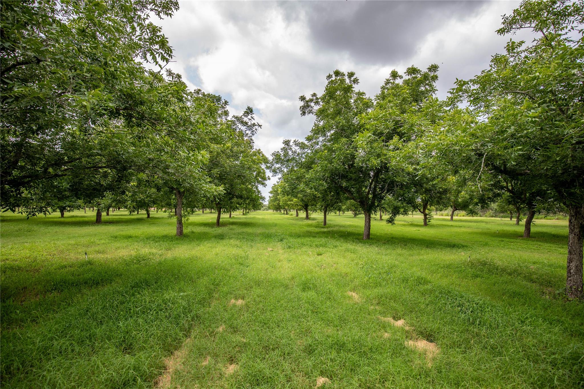 2432 County Road 402 B None Property Photo 1