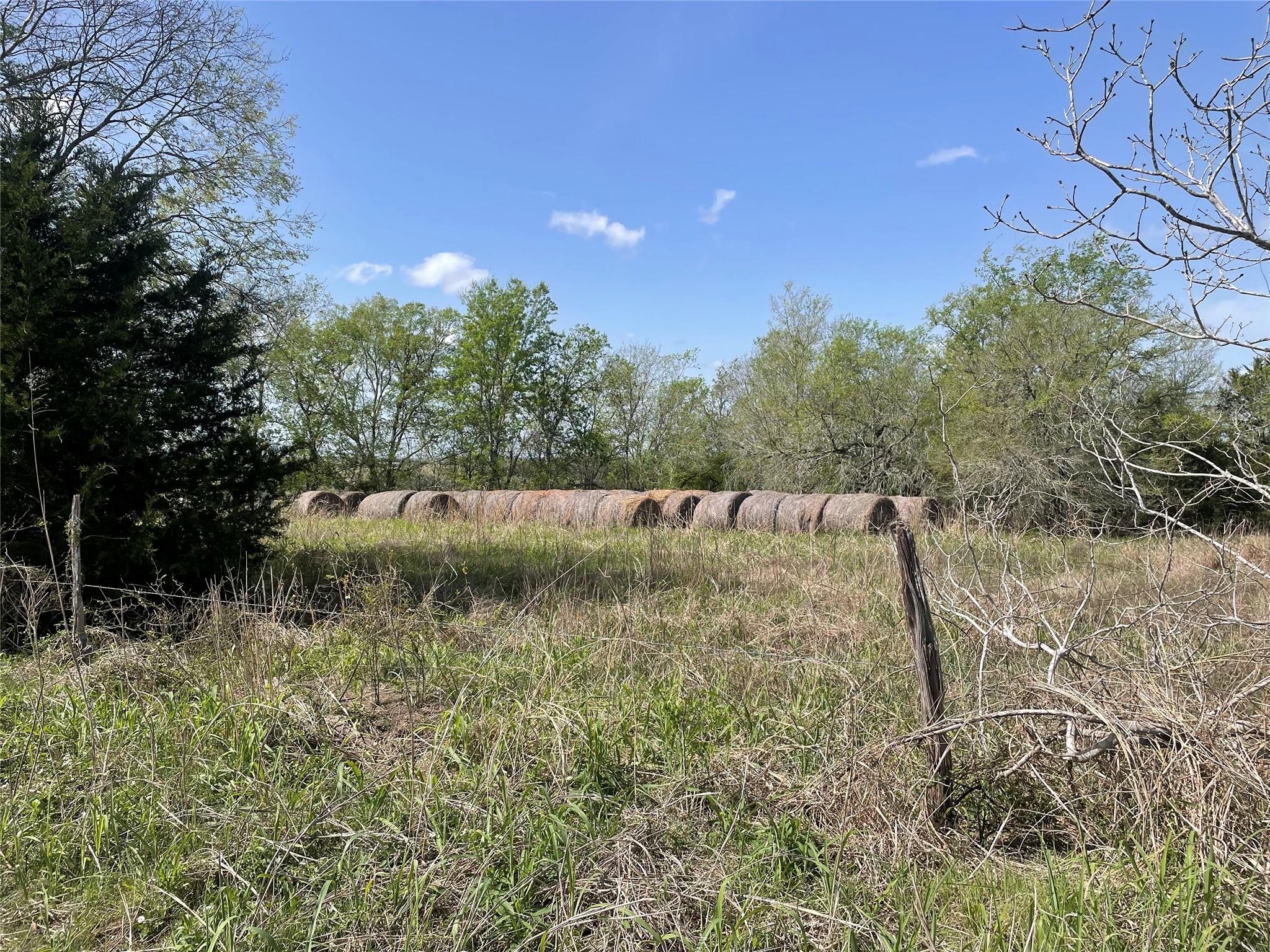Tbd Fm 2238 Property Photo 3
