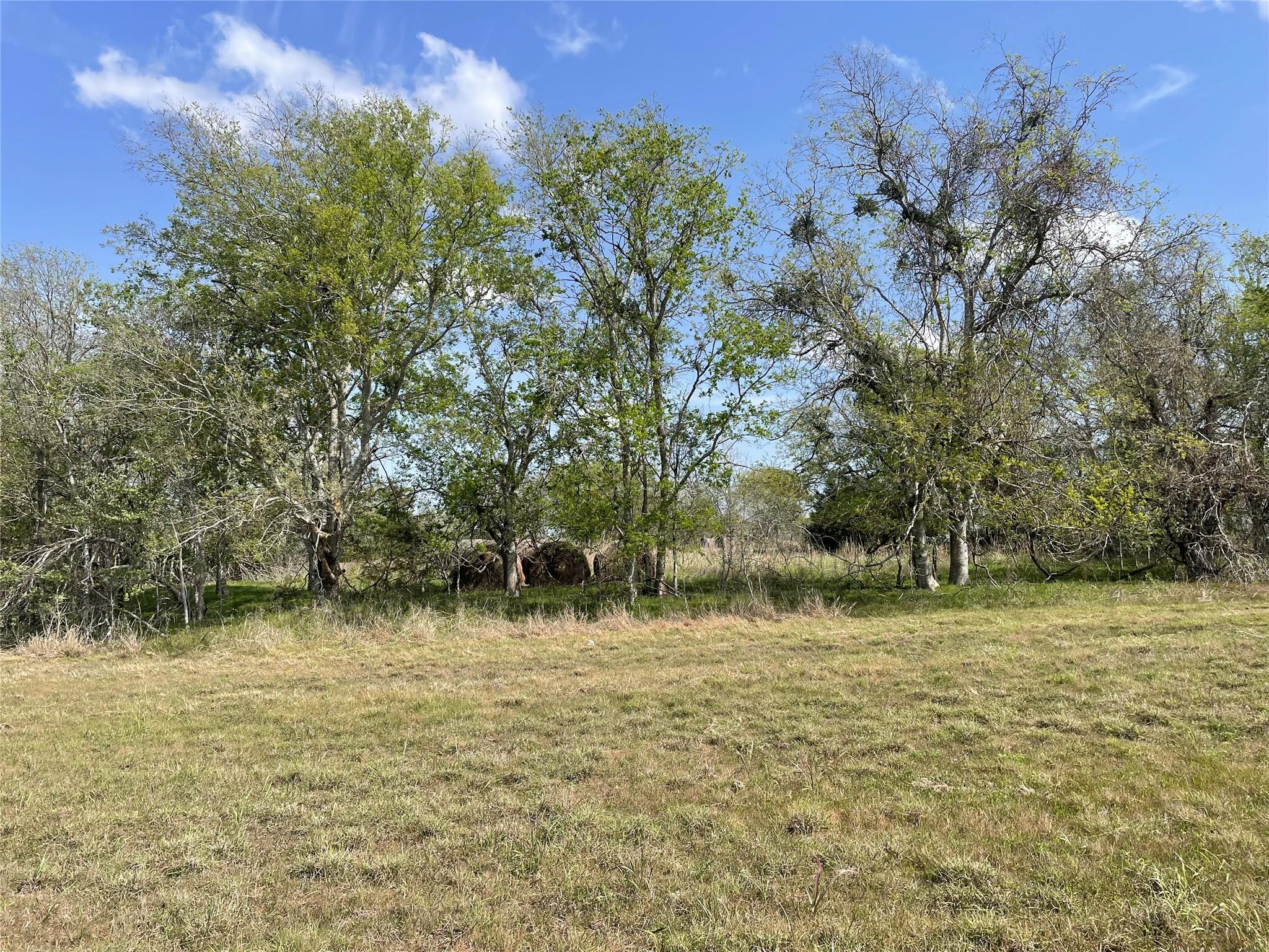 Tbd Fm 2238 Property Photo 11