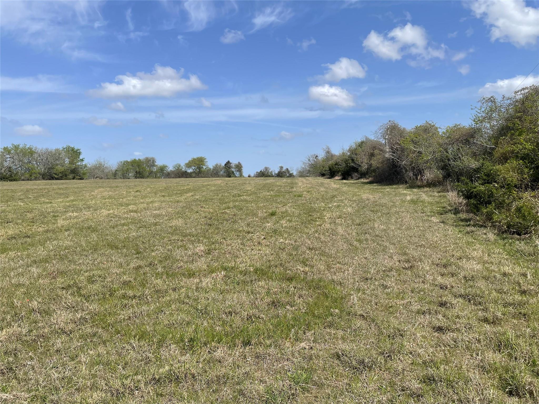 Tbd Fm 2238 Property Photo 18