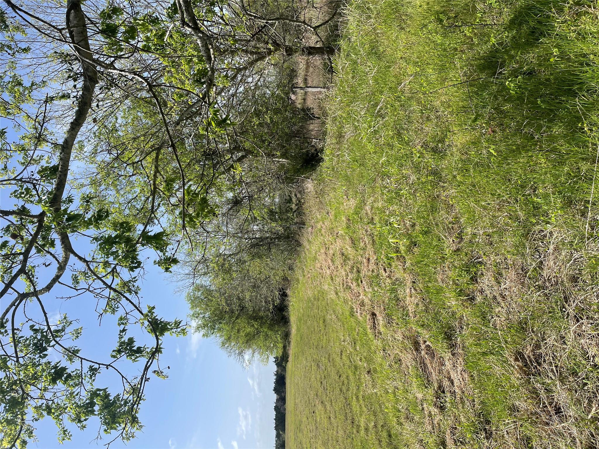 Tbd Fm 2238 Property Photo 27