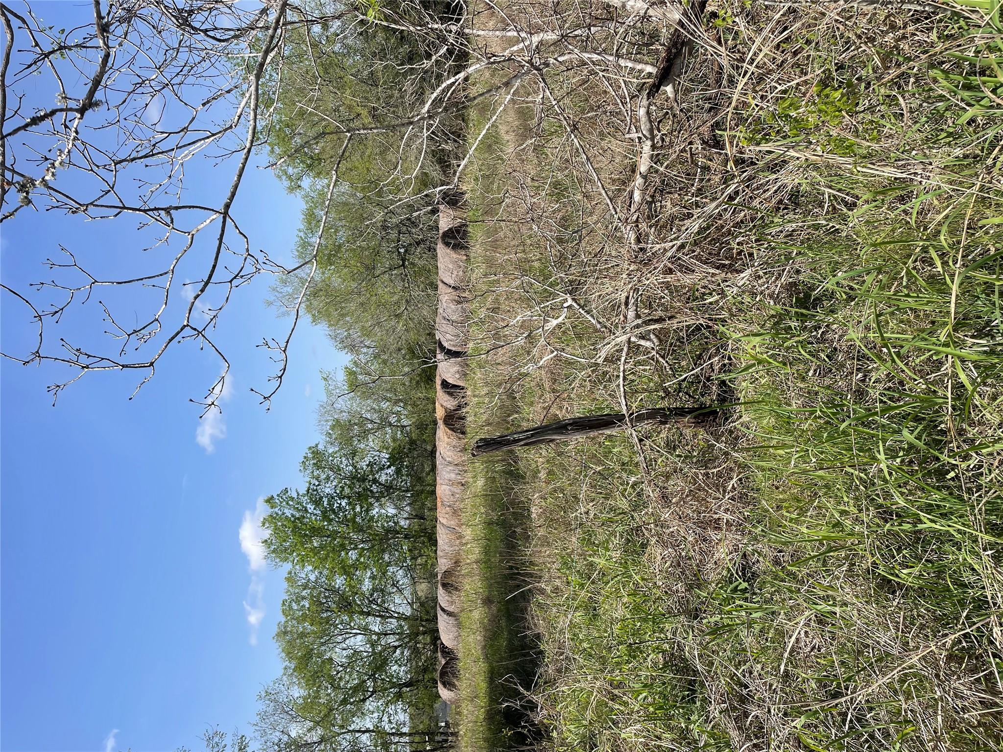 Tbd Fm 2238 Property Photo 29