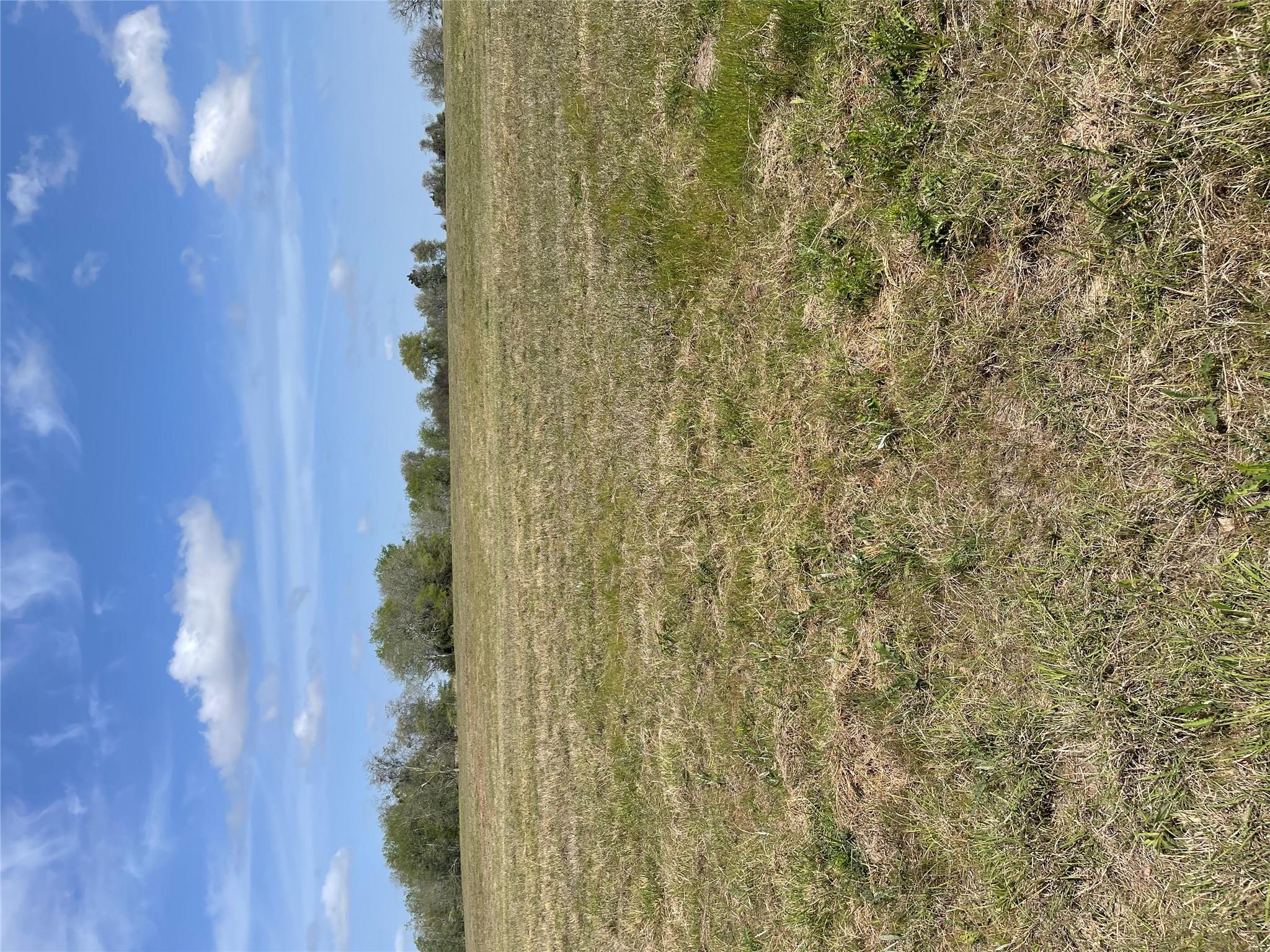 Tbd Fm 2238 Property Photo 35