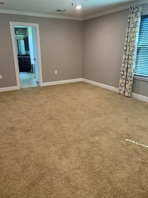 12308 Ferrystone Glen Dr Property Photo 16