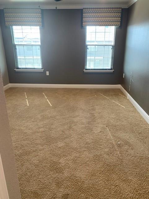 12308 Ferrystone Glen Dr Property Photo 17