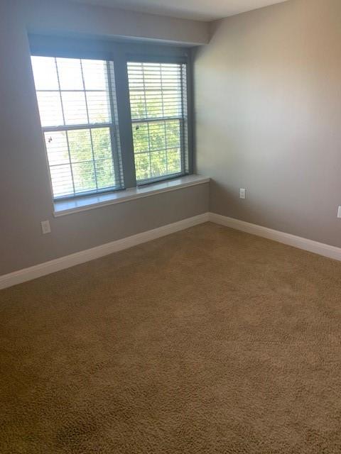12308 Ferrystone Glen Dr Property Photo 21
