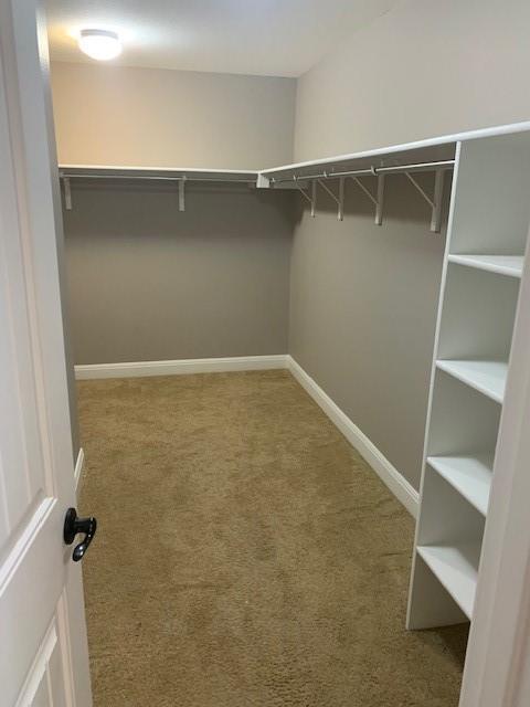 12308 Ferrystone Glen Dr Property Photo 28