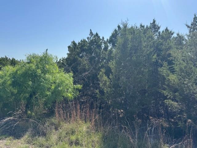 Lot 53 Balcones Ridge Way Property Photo 17