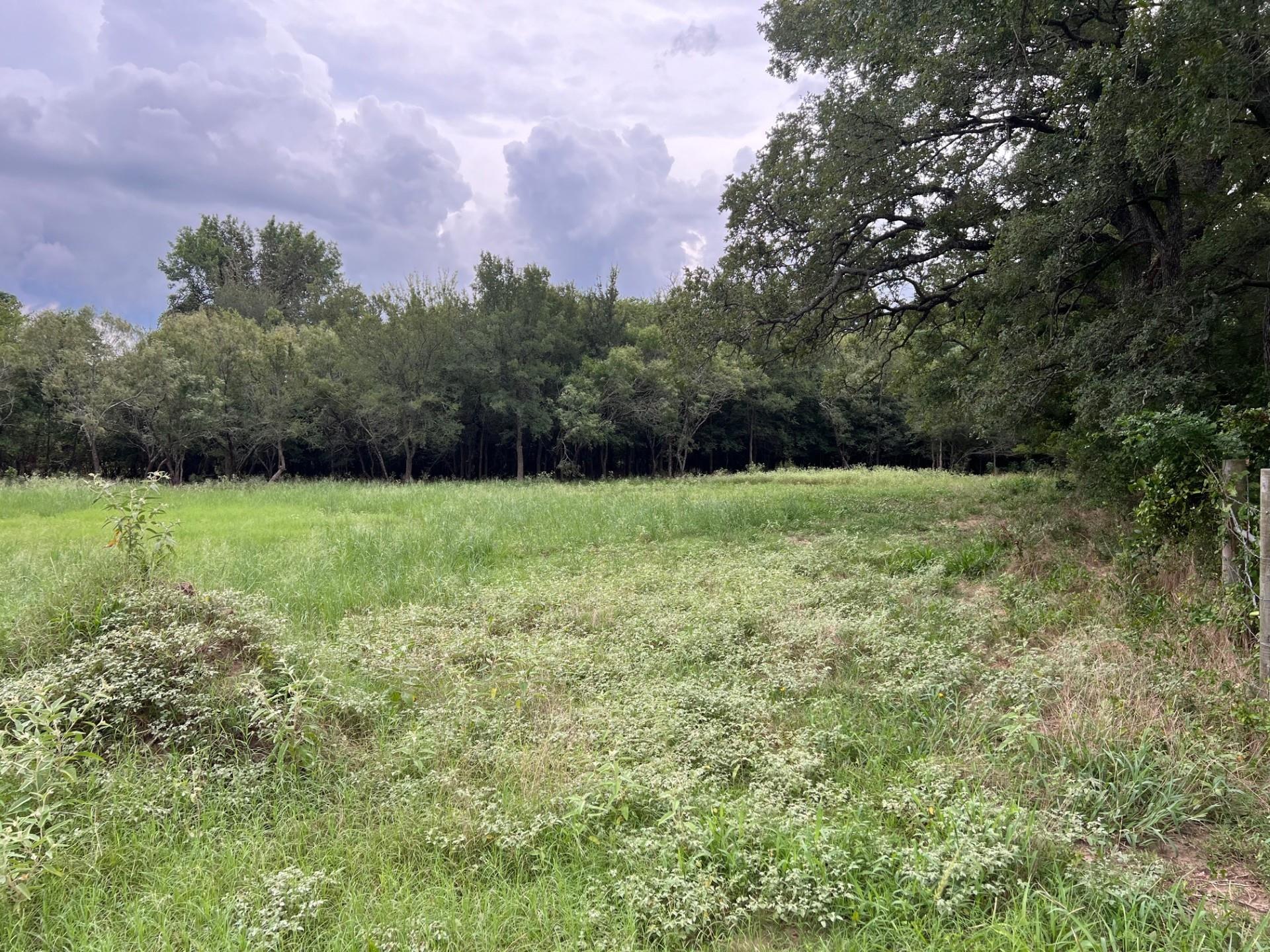 199 Sand Hill Rd Property Photo 3