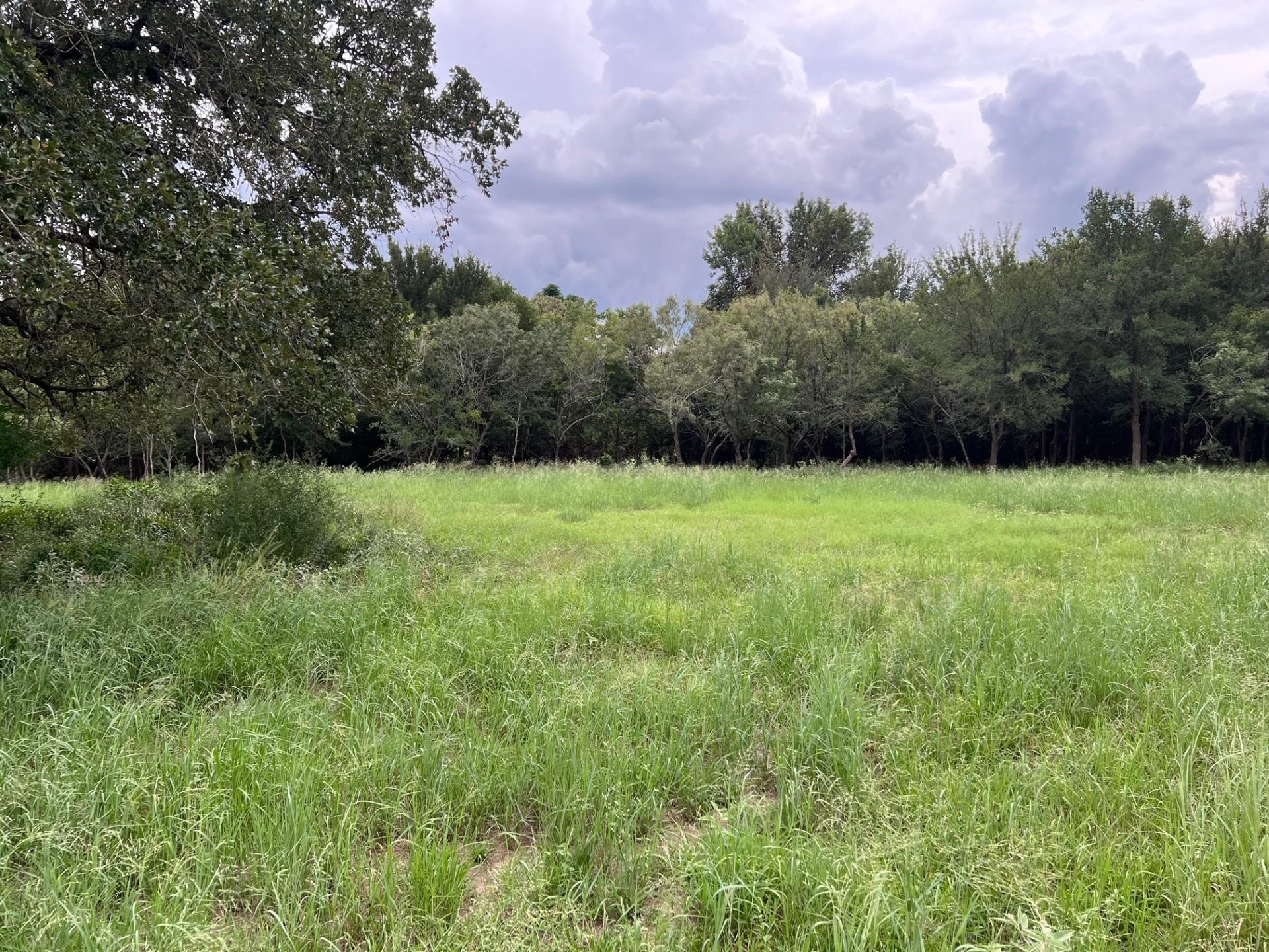 199 Sand Hill Rd Property Photo 4