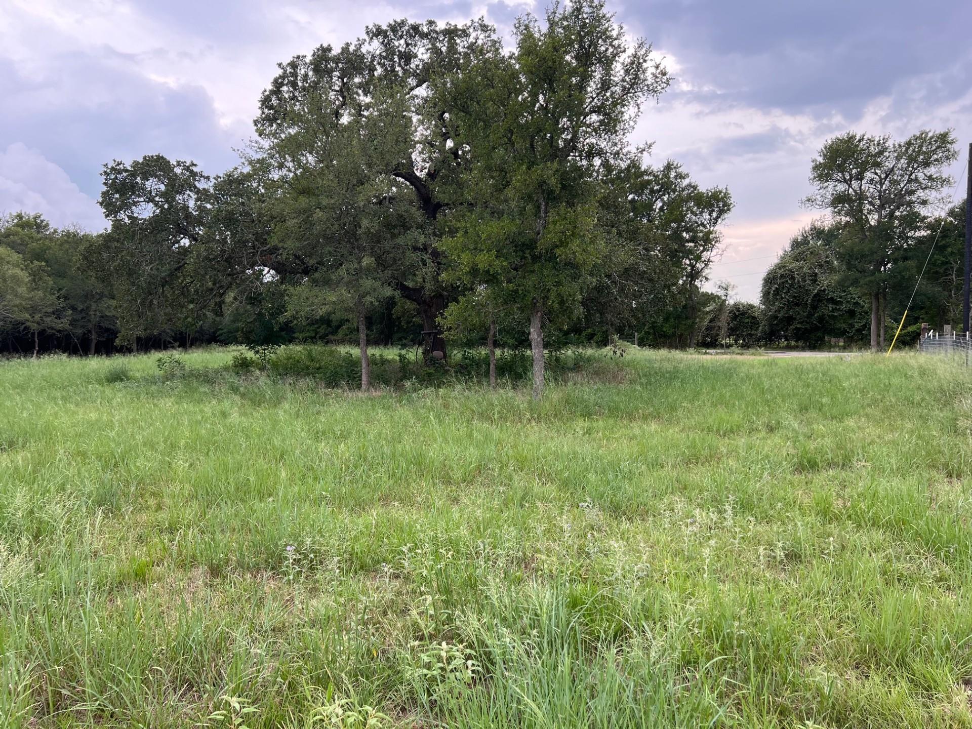 199 Sand Hill Rd Property Photo 8