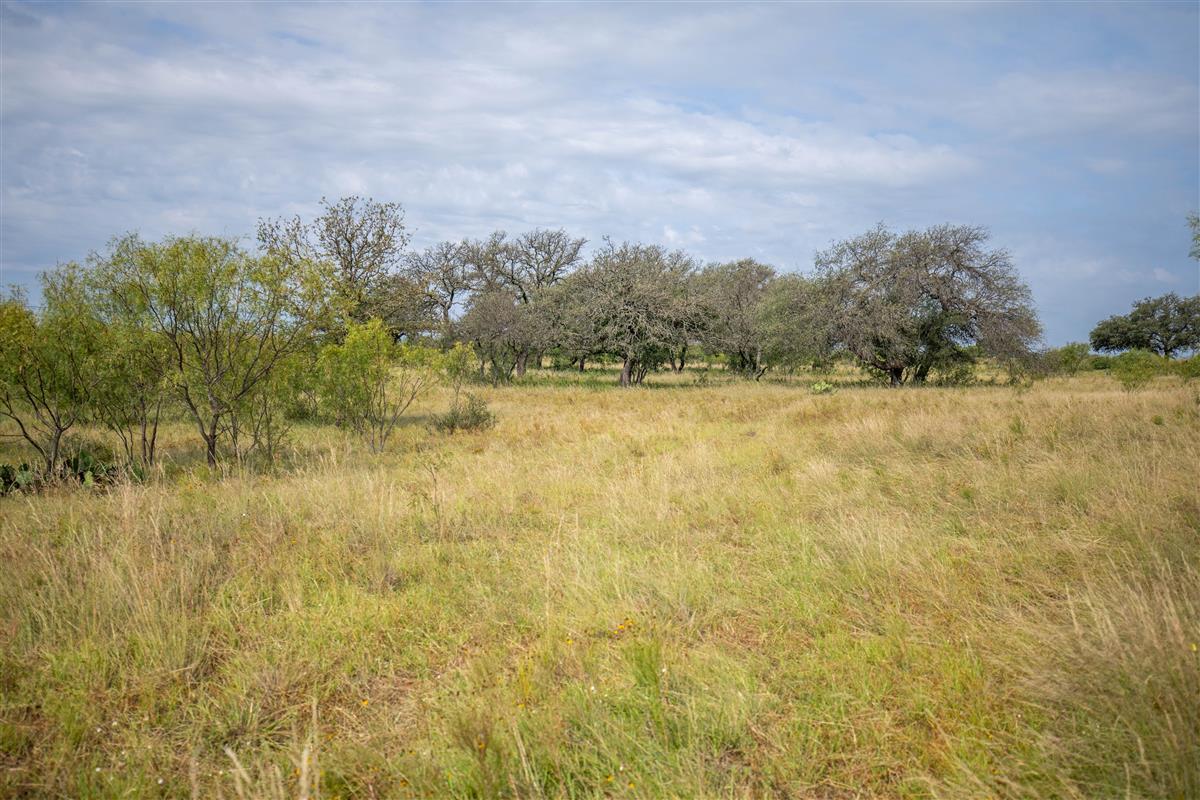 15811 W State Highway 29 None Property Photo 5