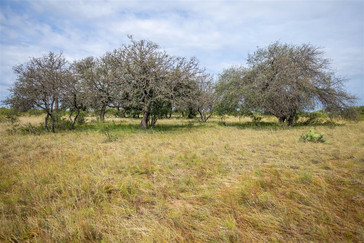 15811 W State Highway 29 None Property Photo 6