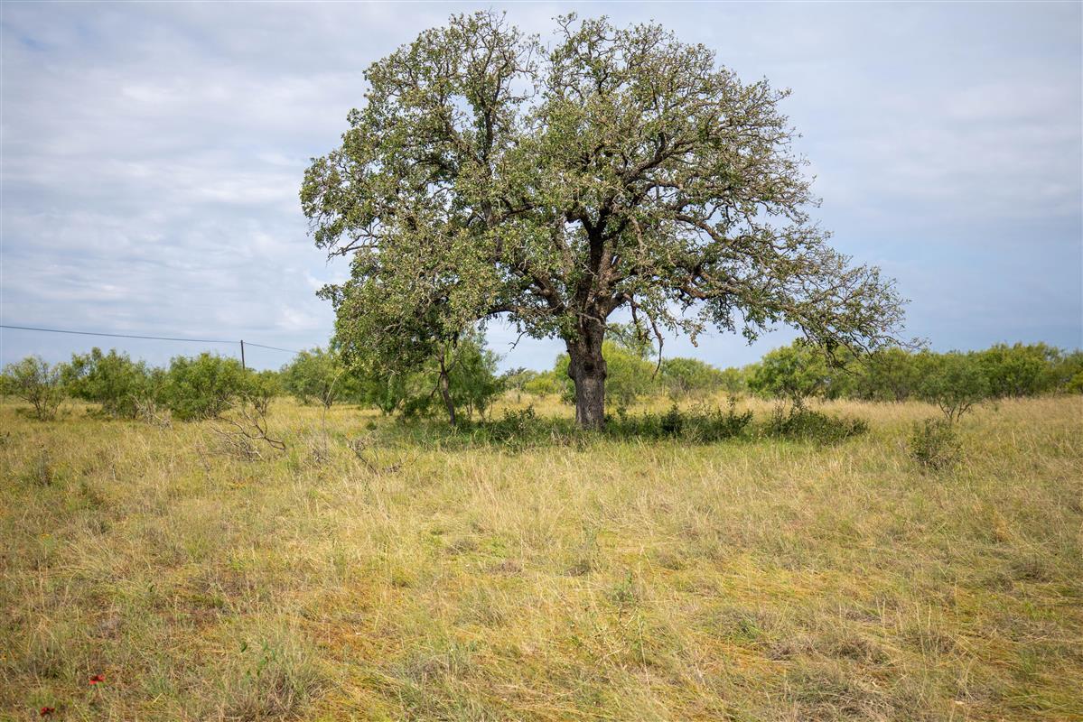 15811 W State Highway 29 None Property Photo 7