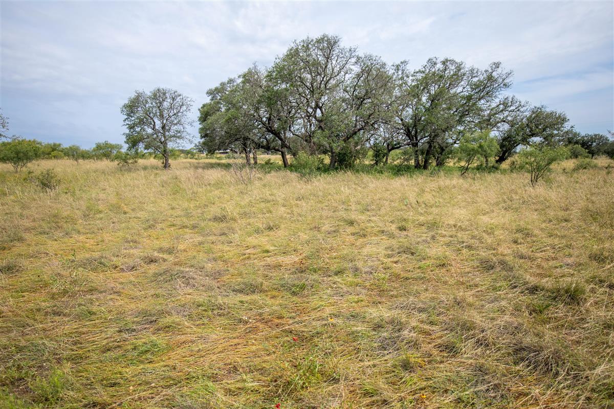 15811 W State Highway 29 None Property Photo 8