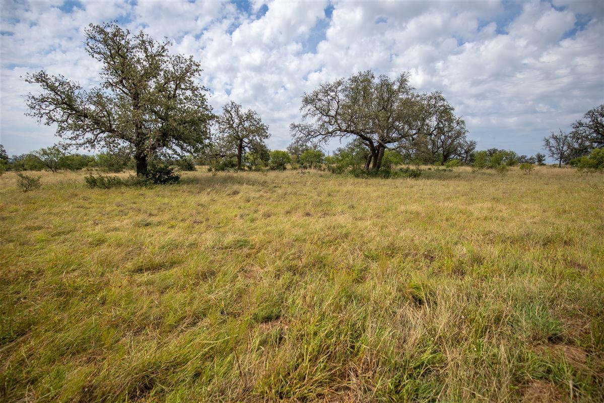 15811 W State Highway 29 None Property Photo 18