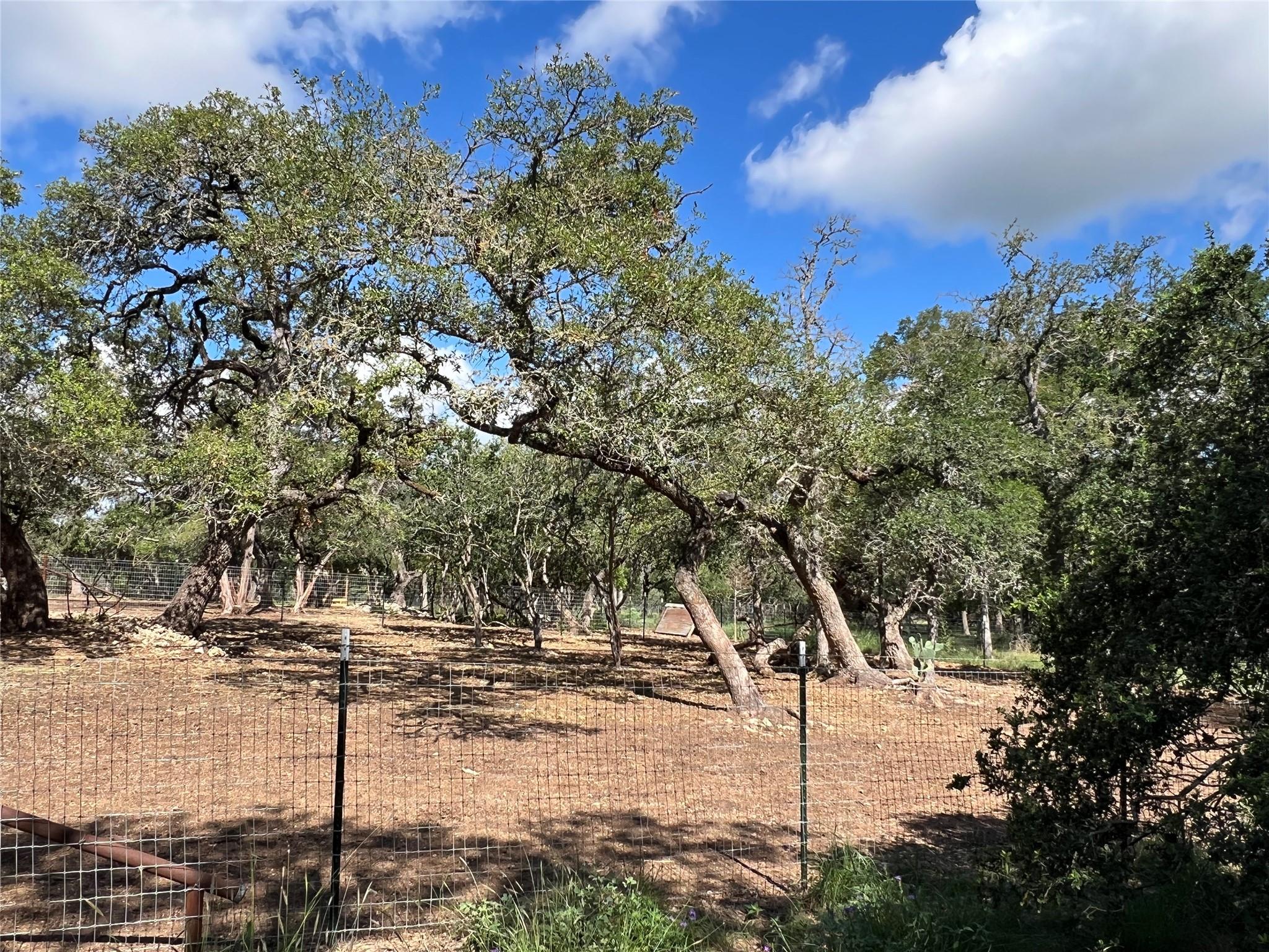 510 Camino De Rancho Property Photo 3