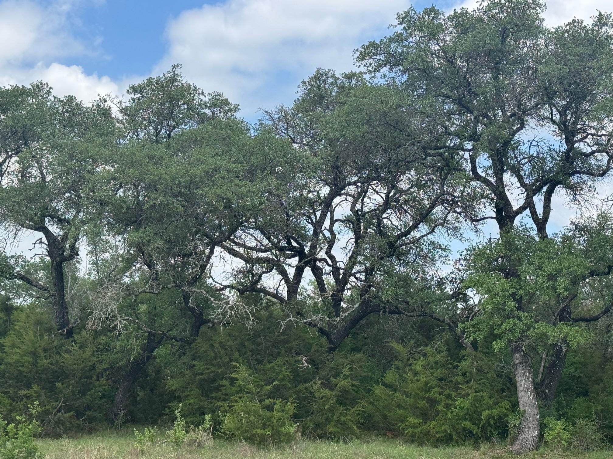 Lot 40 Maverick Way Property Photo 1