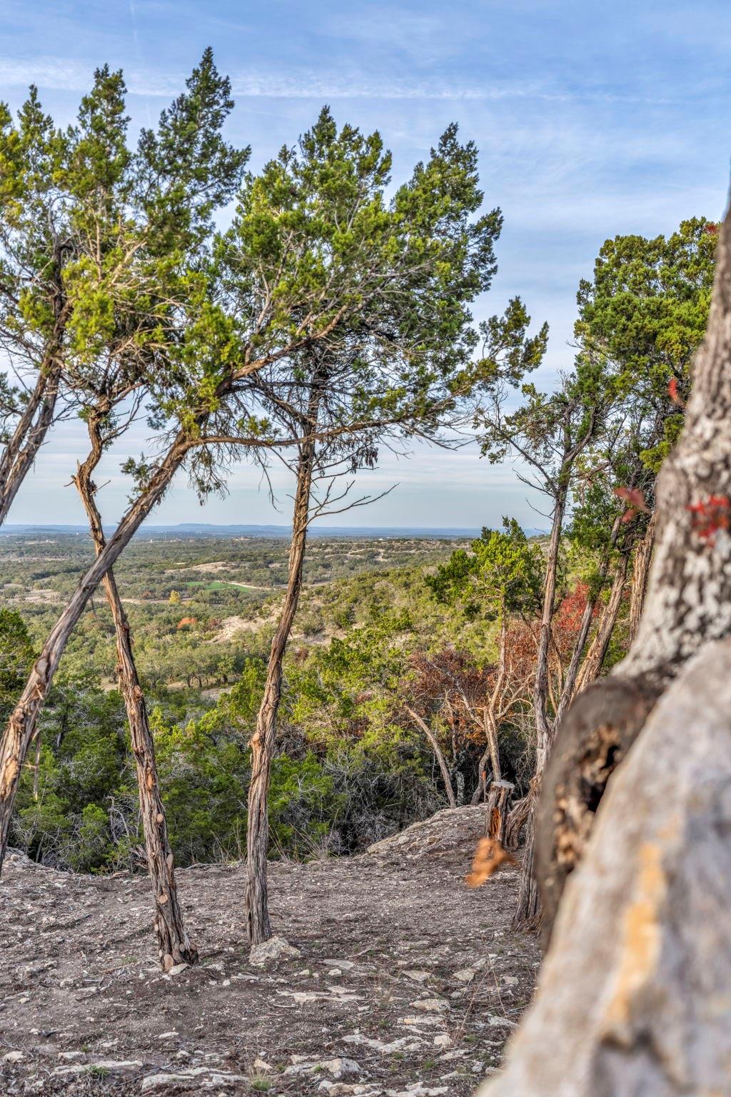 3300 Fm 165 - Lot 20 Property Photo 11