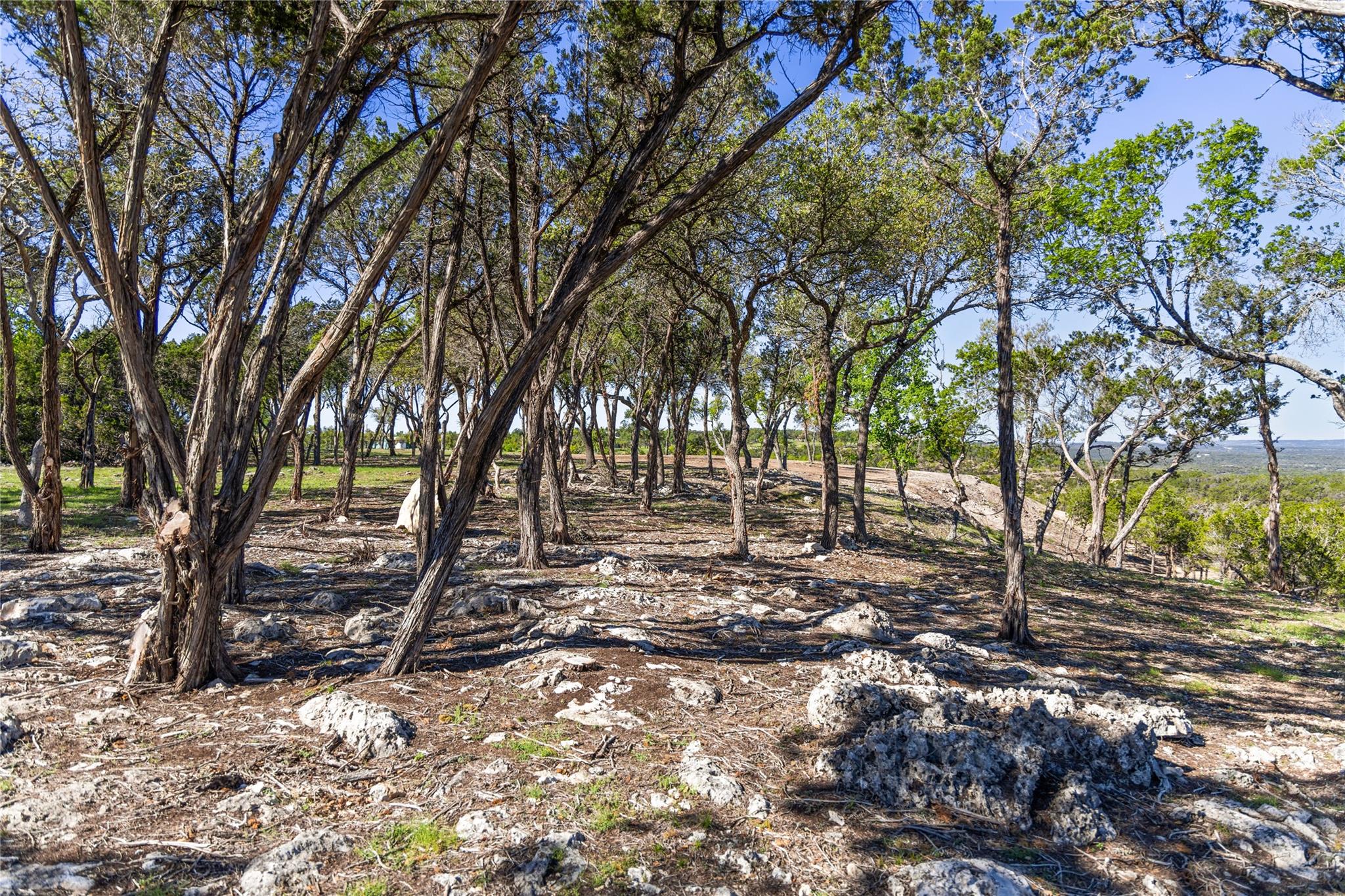 3300 Fm 165 - Lot 20 Property Photo 18