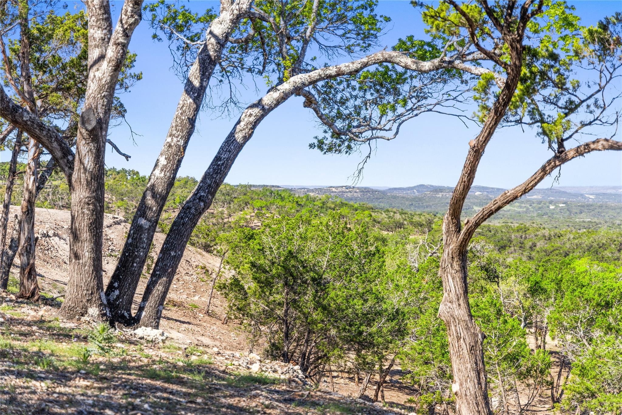 3300 Fm 165 - Lot 20 Property Photo 19