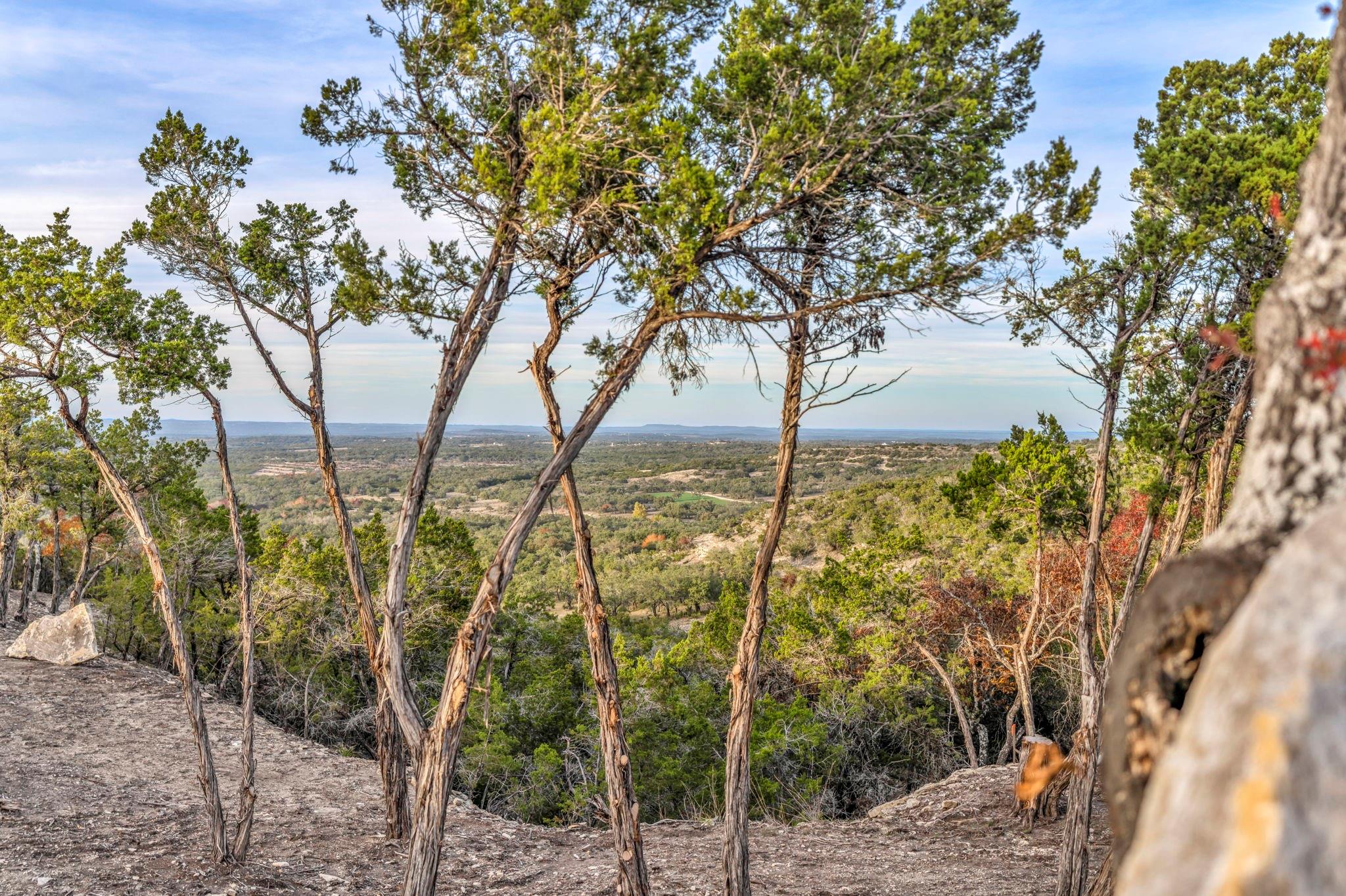 3300 Fm 165 - Lot 20 Property Photo 34
