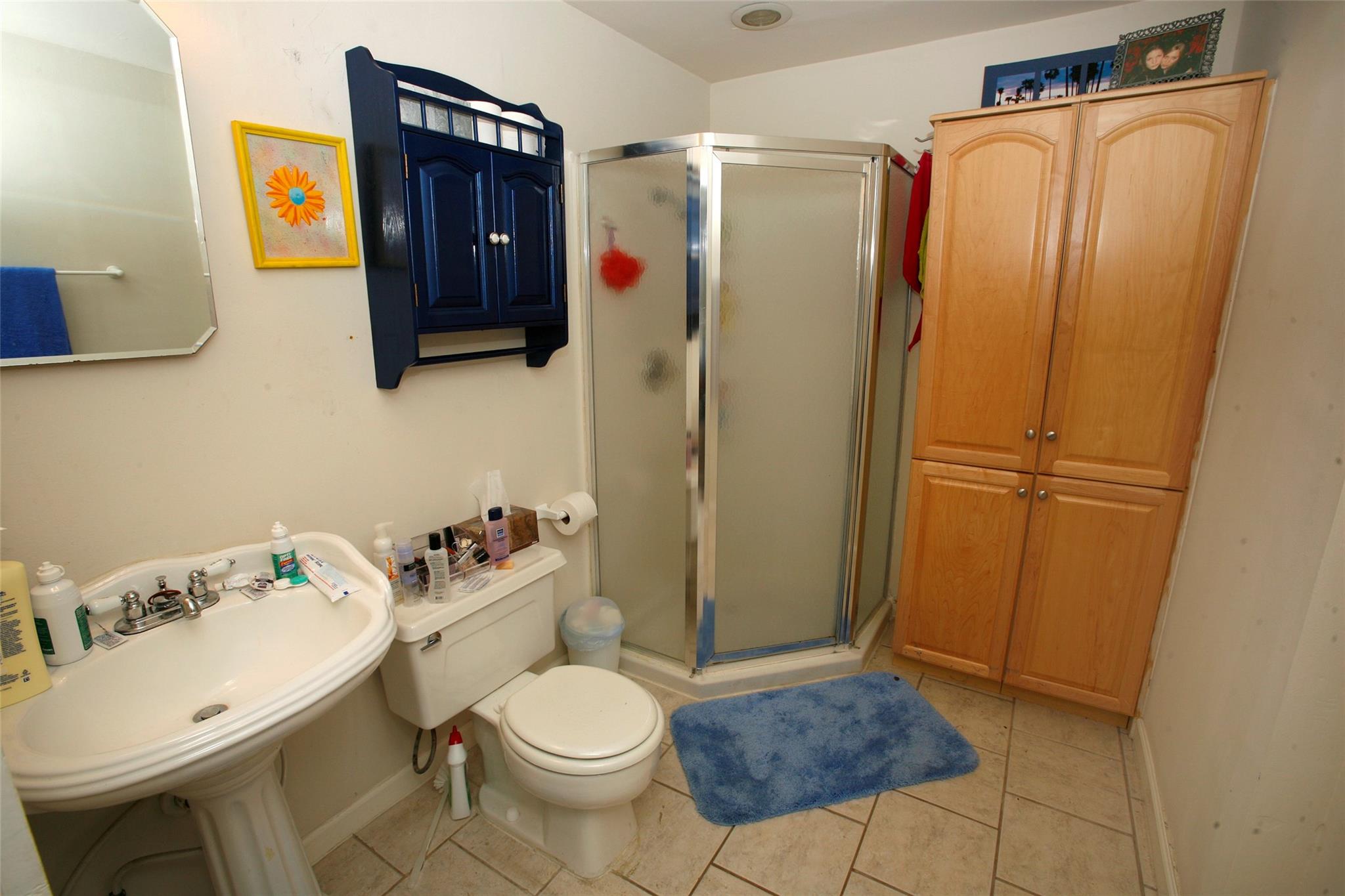 1020 Ellingson Ln Property Photo 17