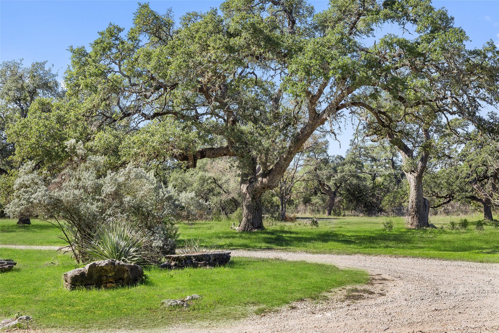 7312 Ranch Road 12 Rd Property Photo 8