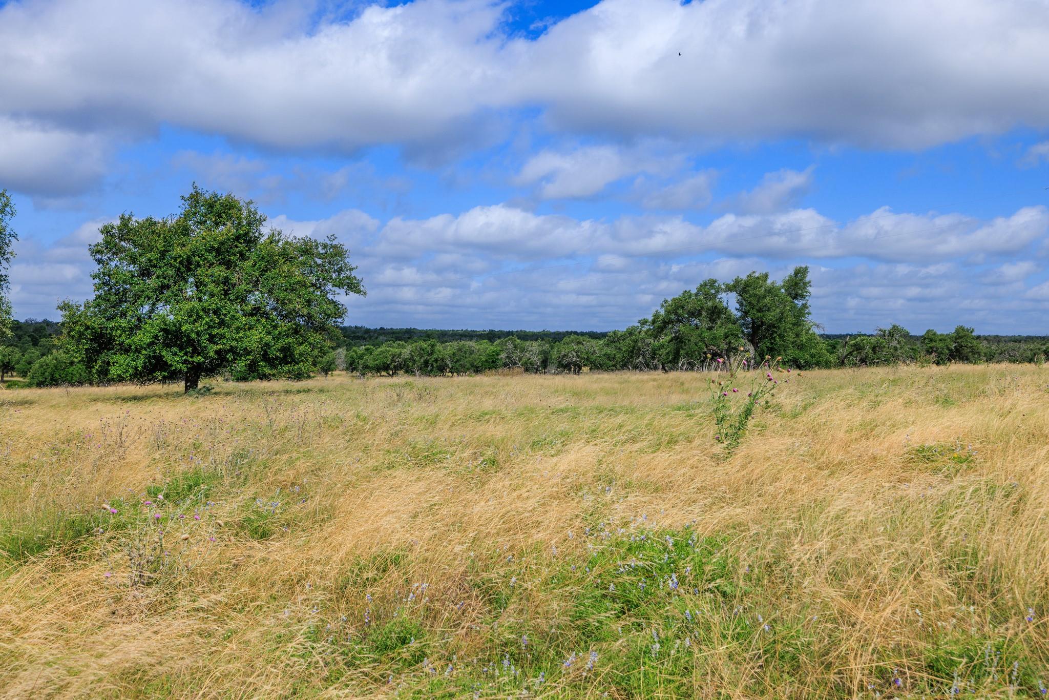 436 Stevens Ranch Rd Property Photo 4