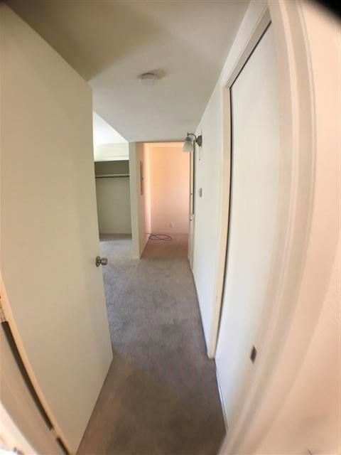 2800 Cole St 206c Property Photo 9