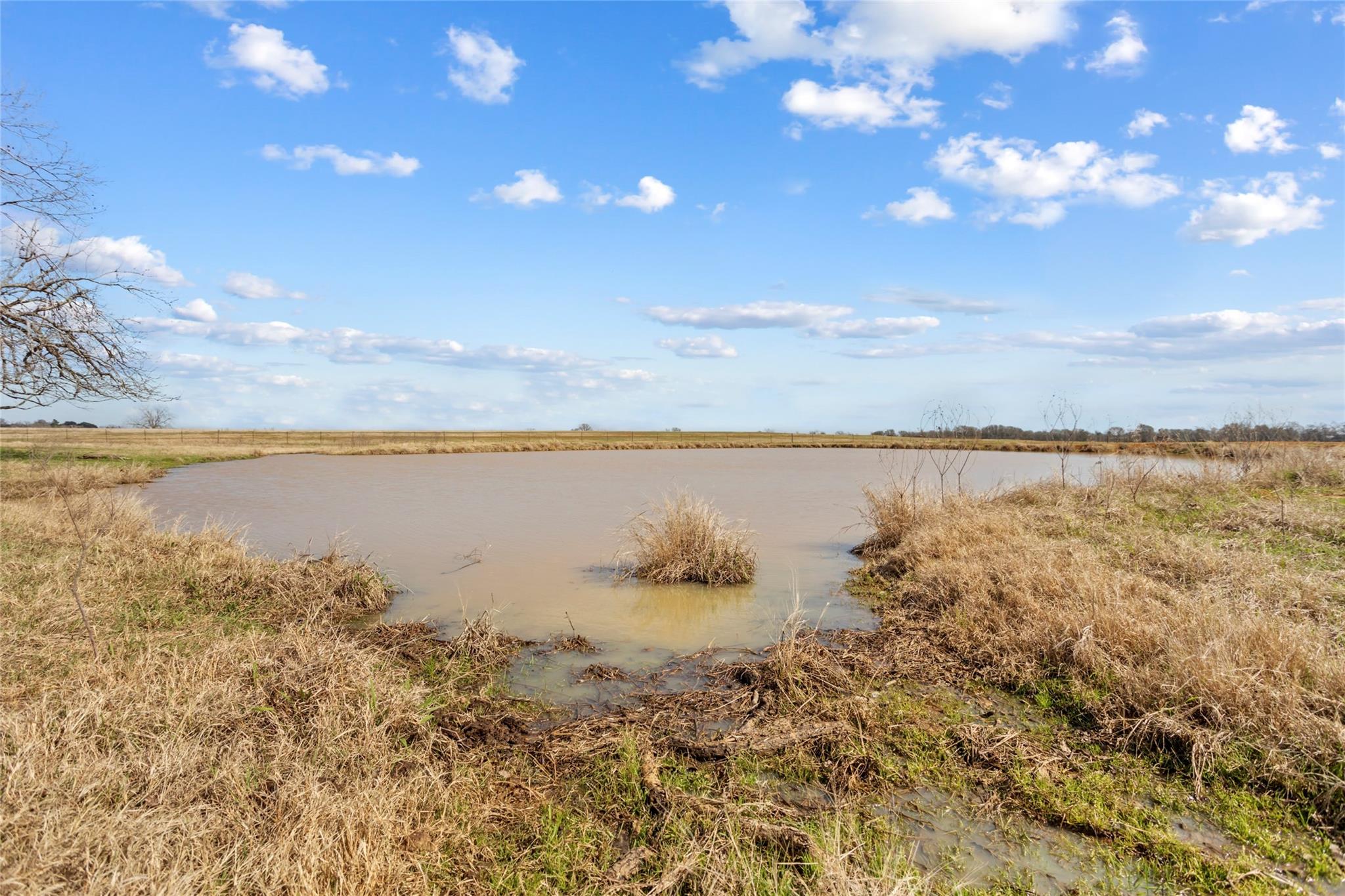 Tbd (30/ac) County Road 309 Property Photo 11