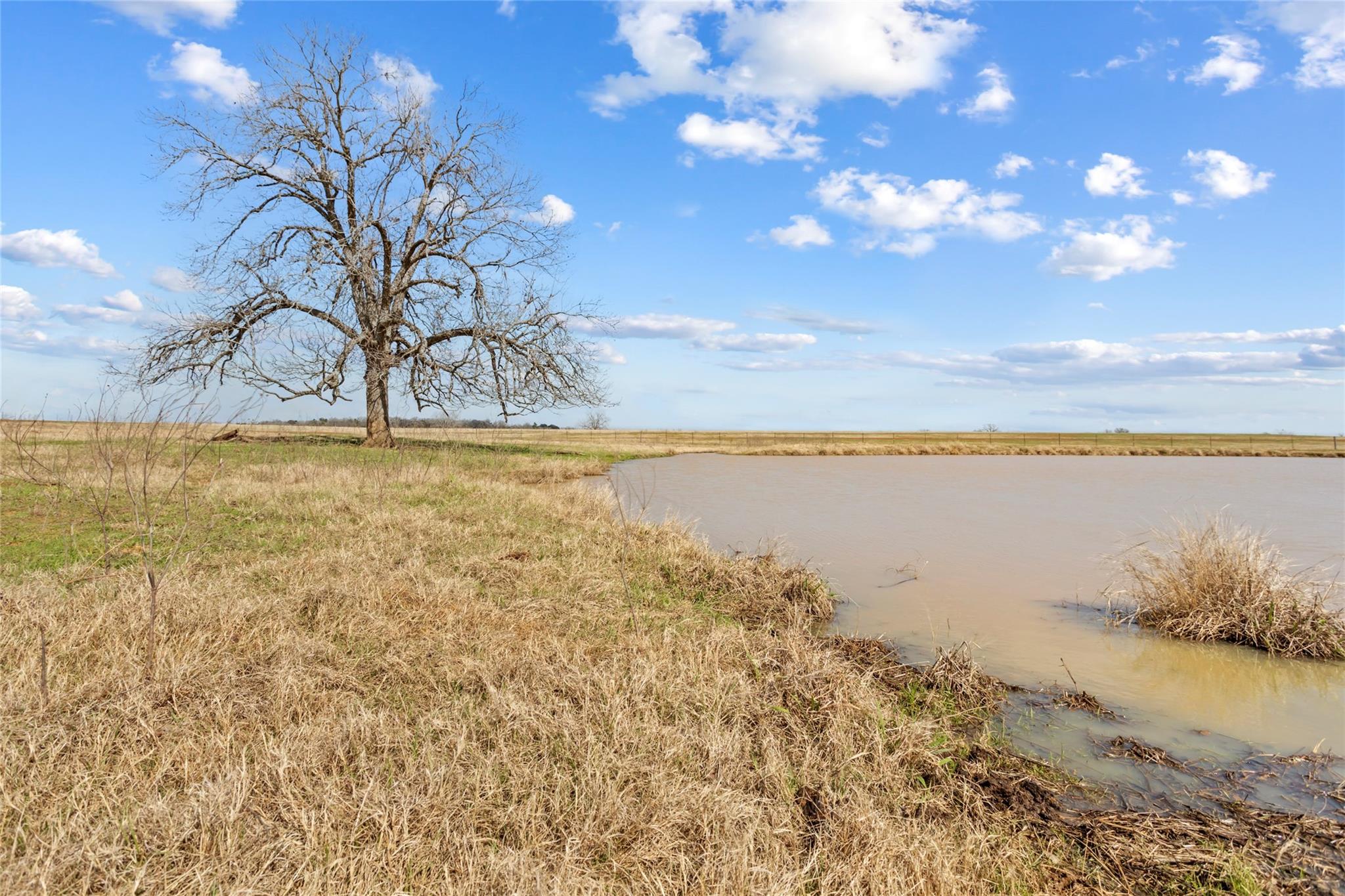 Tbd (30/ac) County Road 309 Property Photo 12