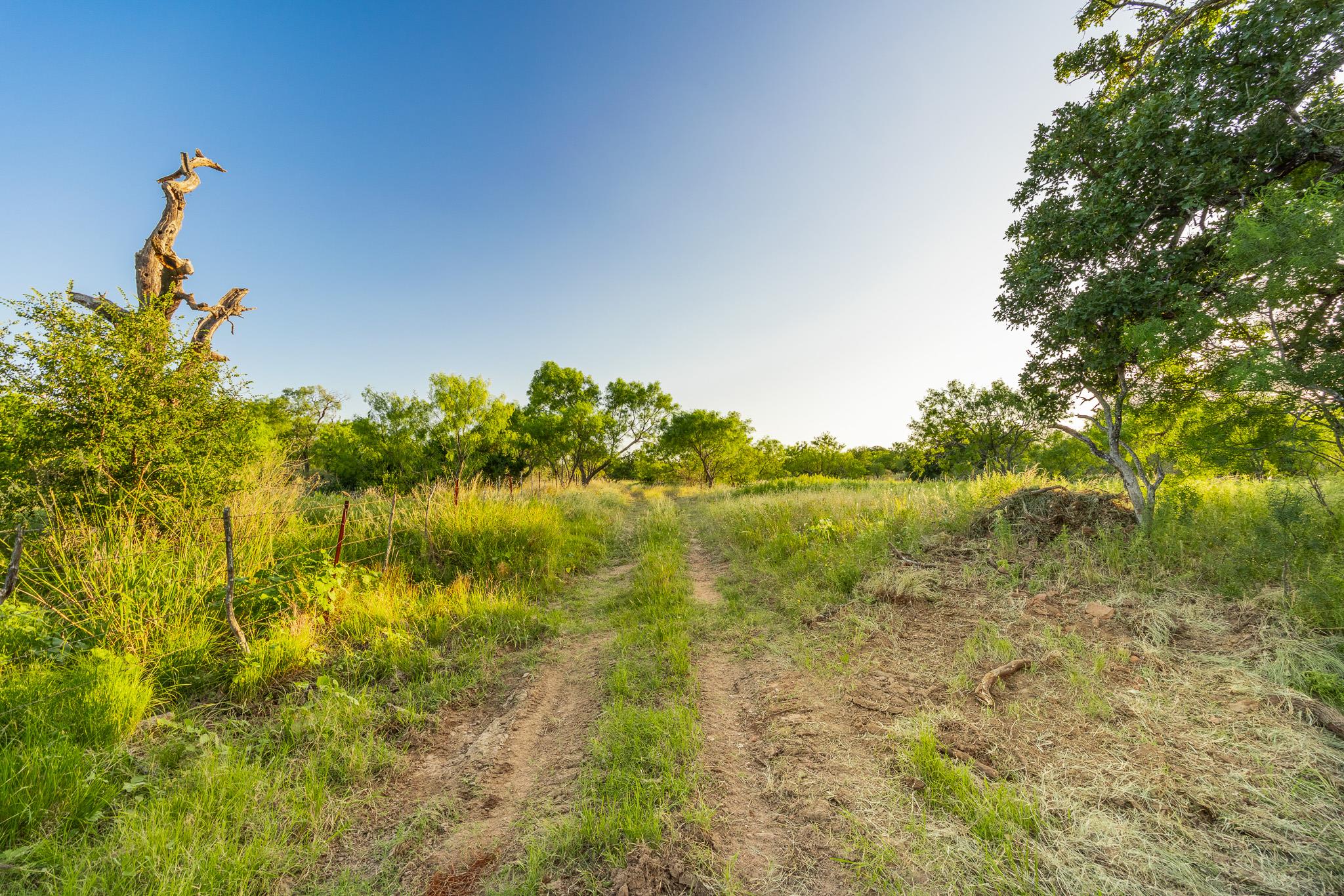 Tbd County Road 102 Rd Property Photo 19