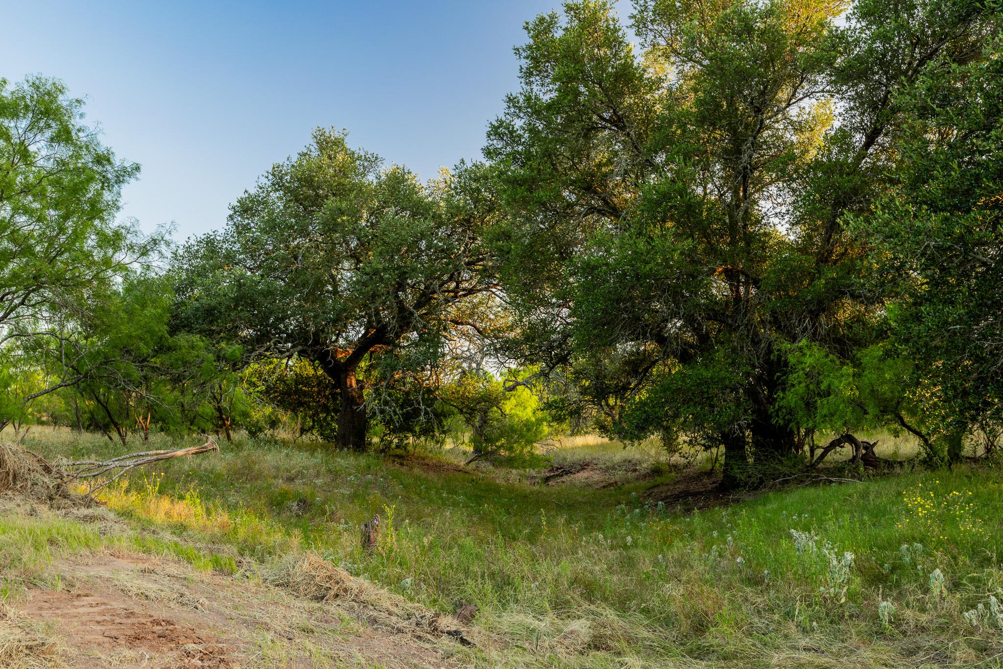 Tbd County Road 102 Rd Property Photo 22