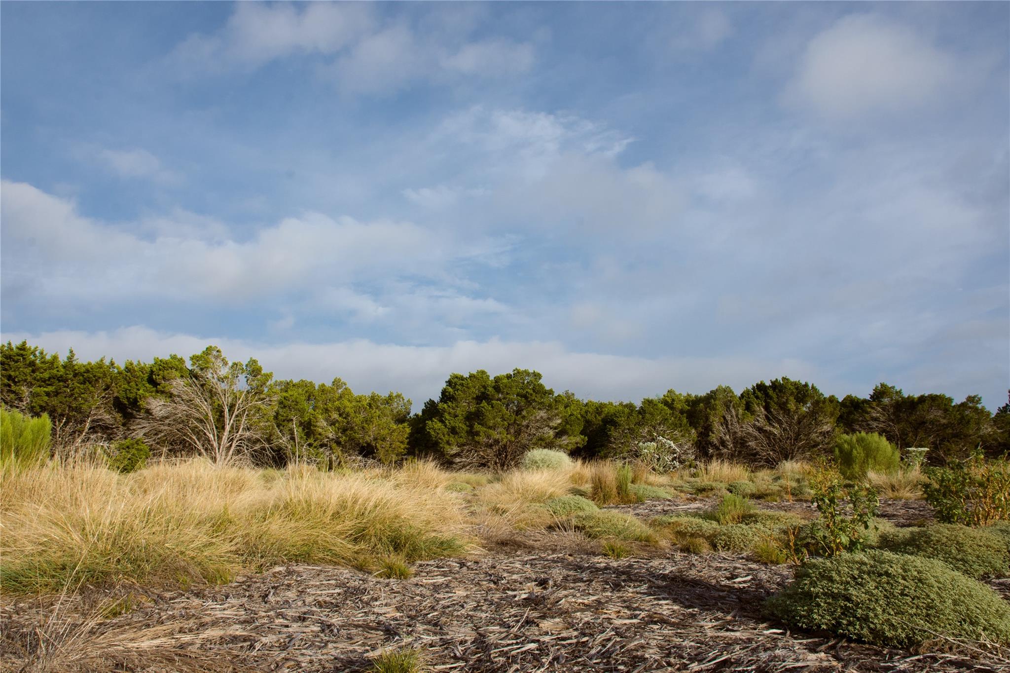 Lot 11 Grace Ln Property Photo 6