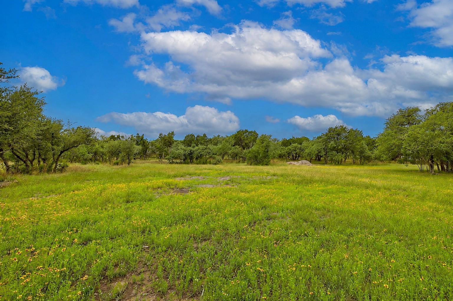 1400 Panther Creek Rd Property Photo 4