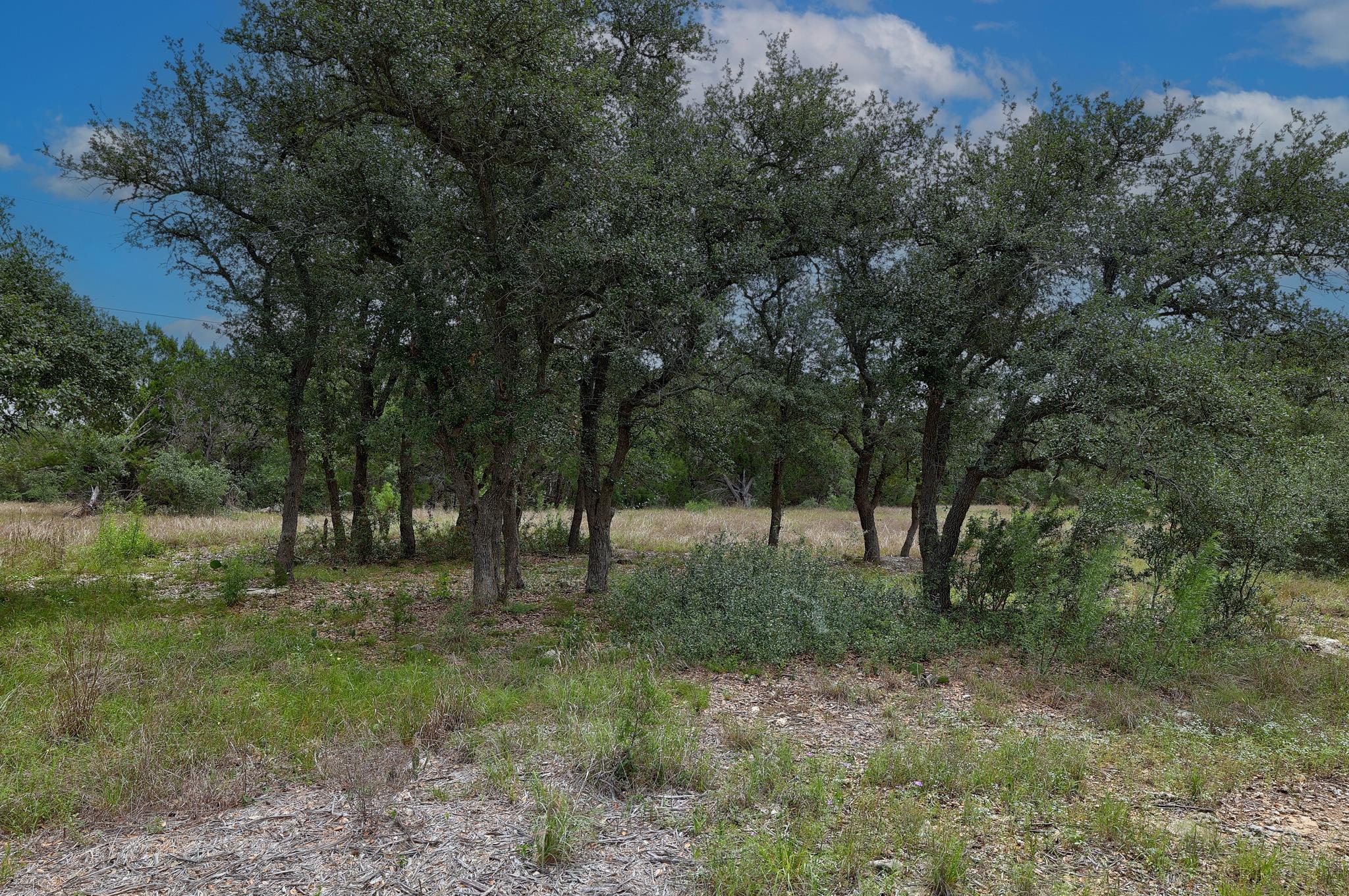 1400 Panther Creek Rd Property Photo 5