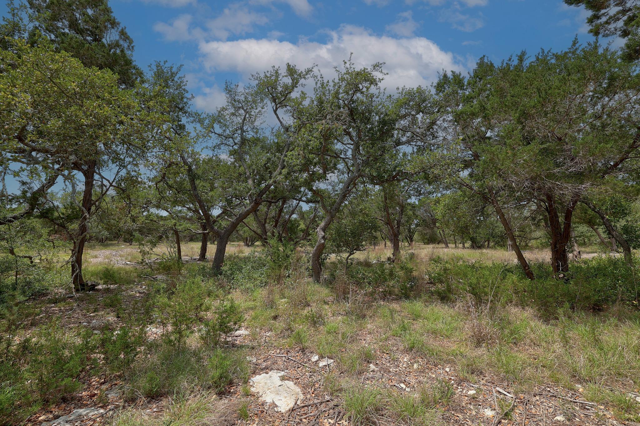 1400 Panther Creek Rd Property Photo 6