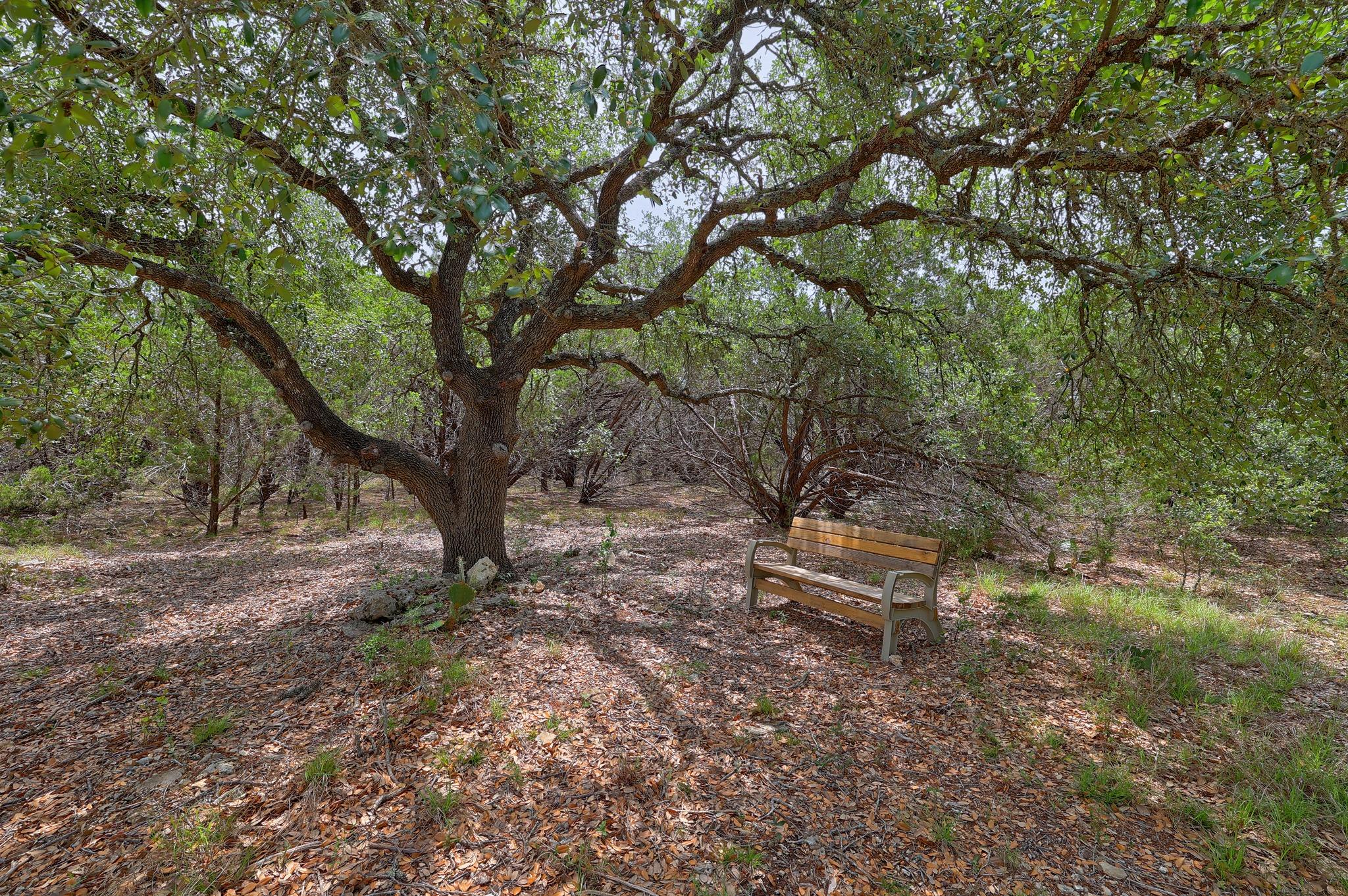 1400 Panther Creek Rd Property Photo 13