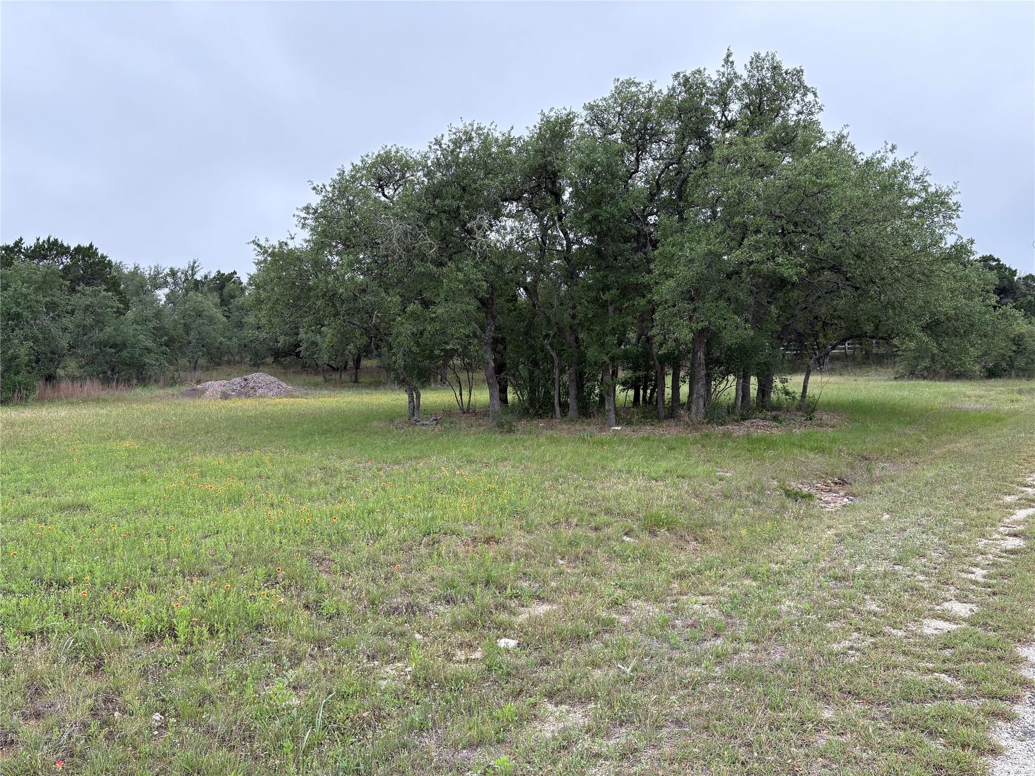 1400 Panther Creek Rd Property Photo 14