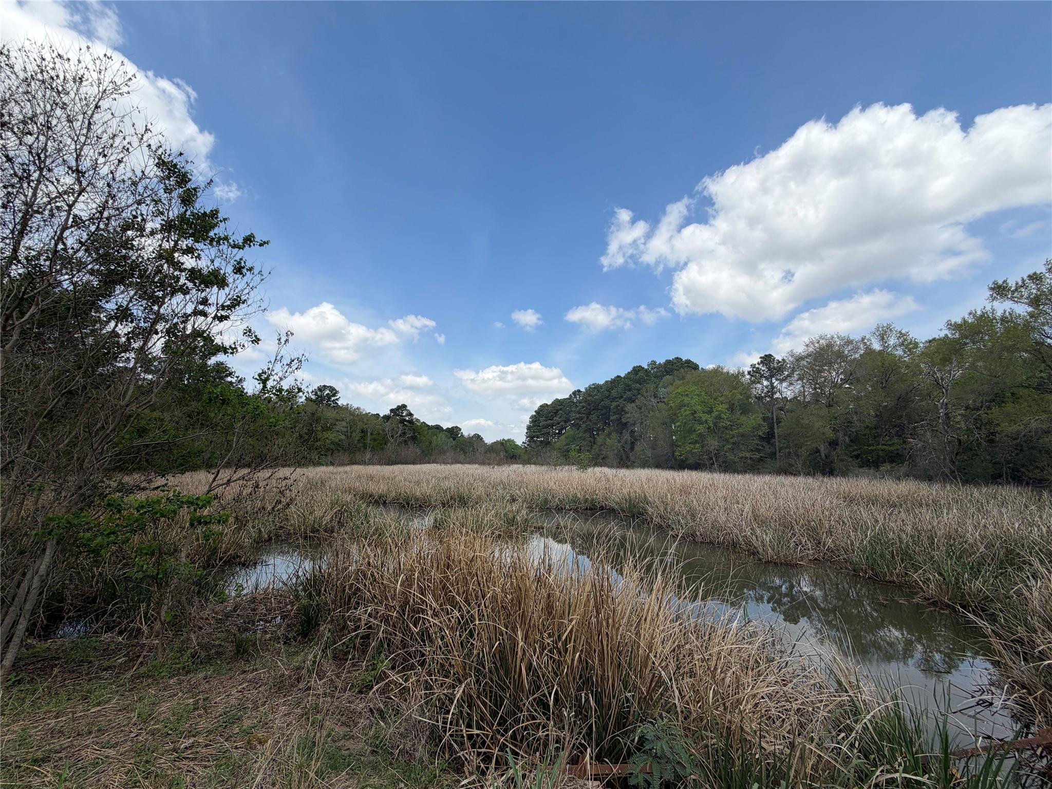 118 Edmonson Ranch Rd Property Photo 1