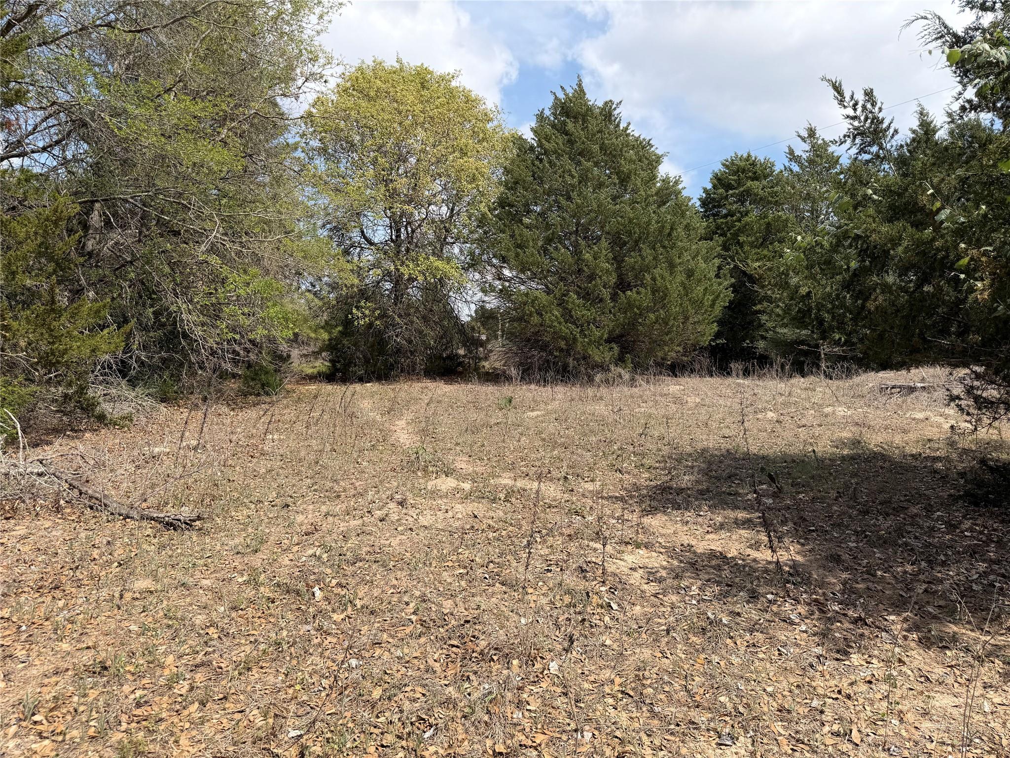 118 Edmonson Ranch Rd Property Photo 3
