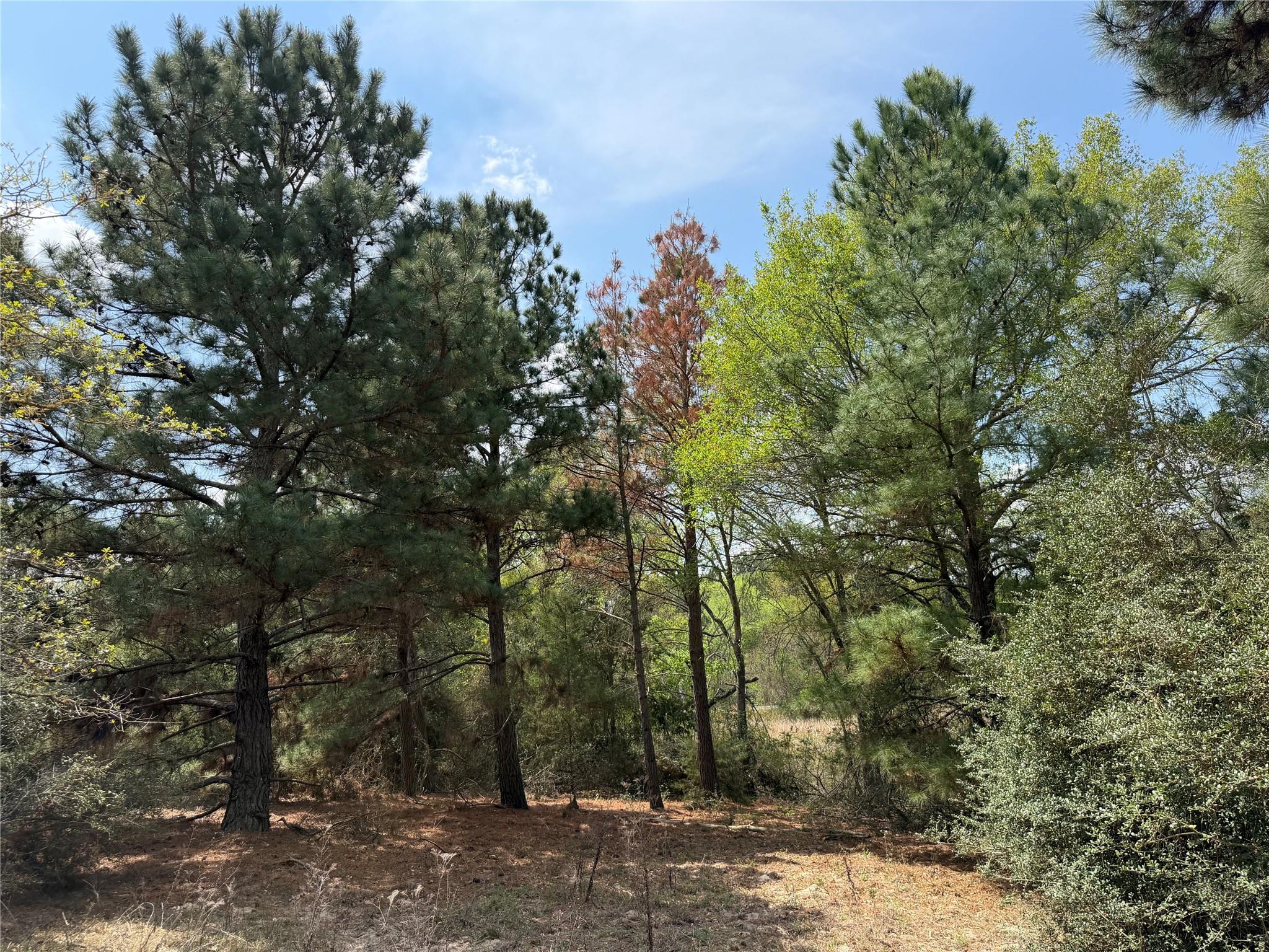 118 Edmonson Ranch Rd Property Photo 4